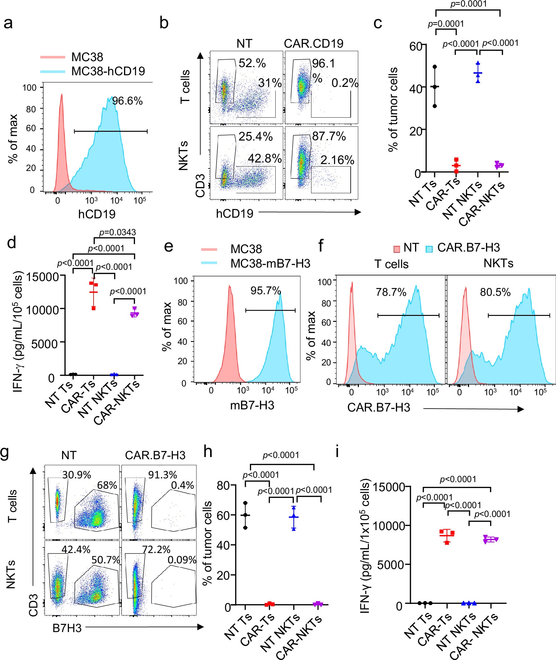 Extended Data Fig. 9: CAR-NKT cells target the MC38-hCD19 and MC38-mB7-H3 cell lines in vitro.