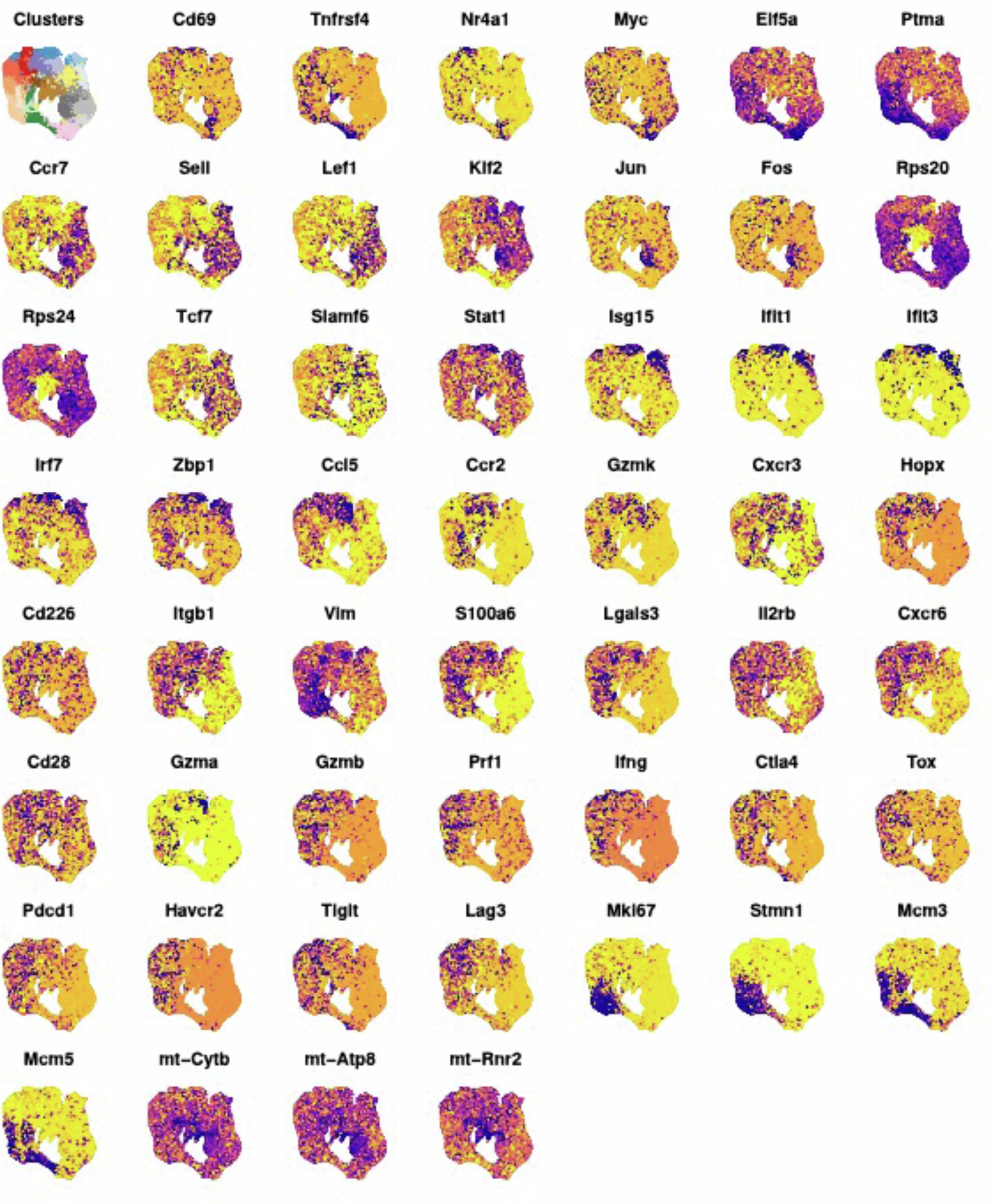 Extended Data Fig. 5