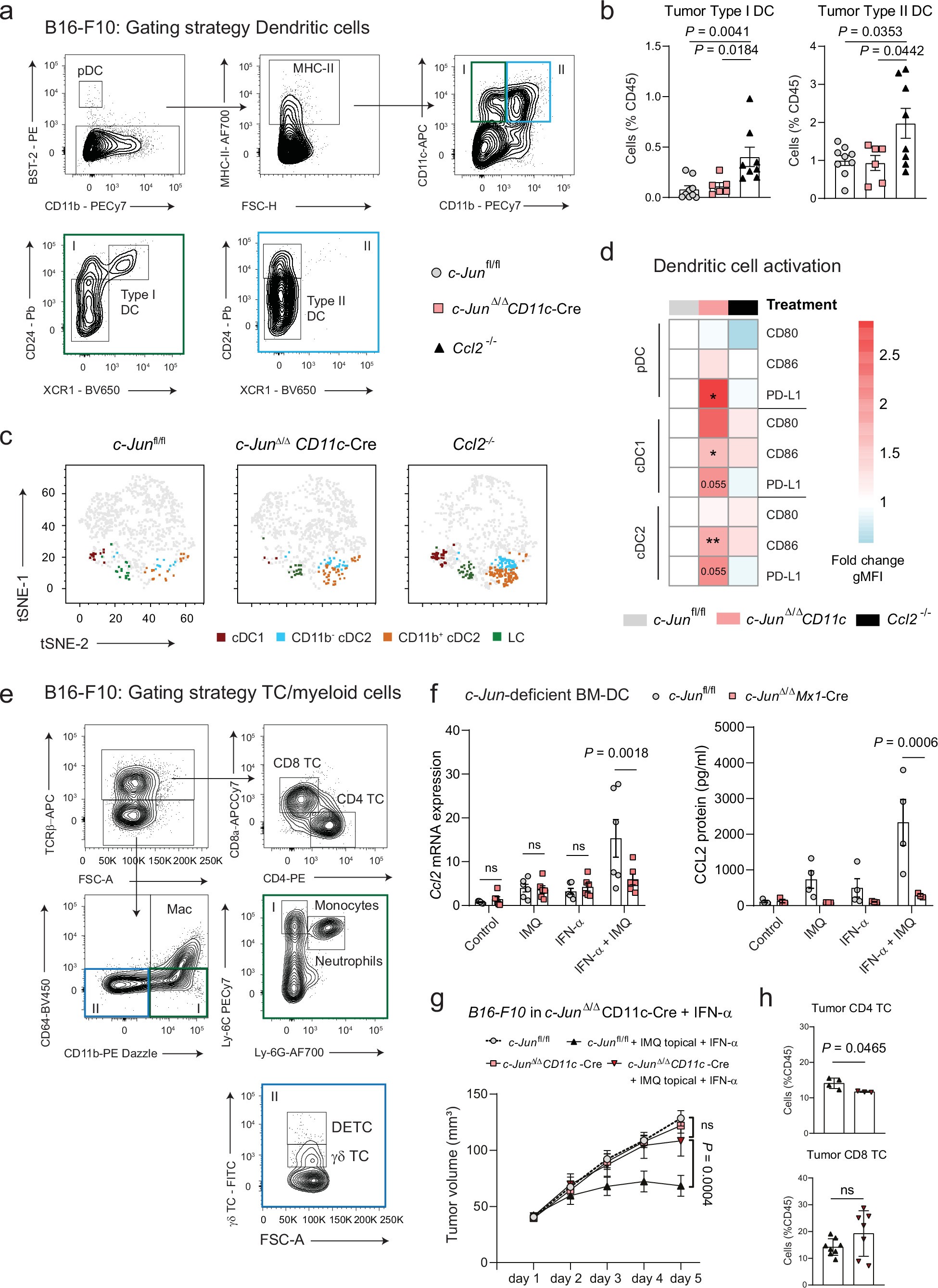 Extended Data Fig. 7: Impact of c-Jun-CCL2 signaling on the immune cell profile of IMQ-treated B16 tumors.