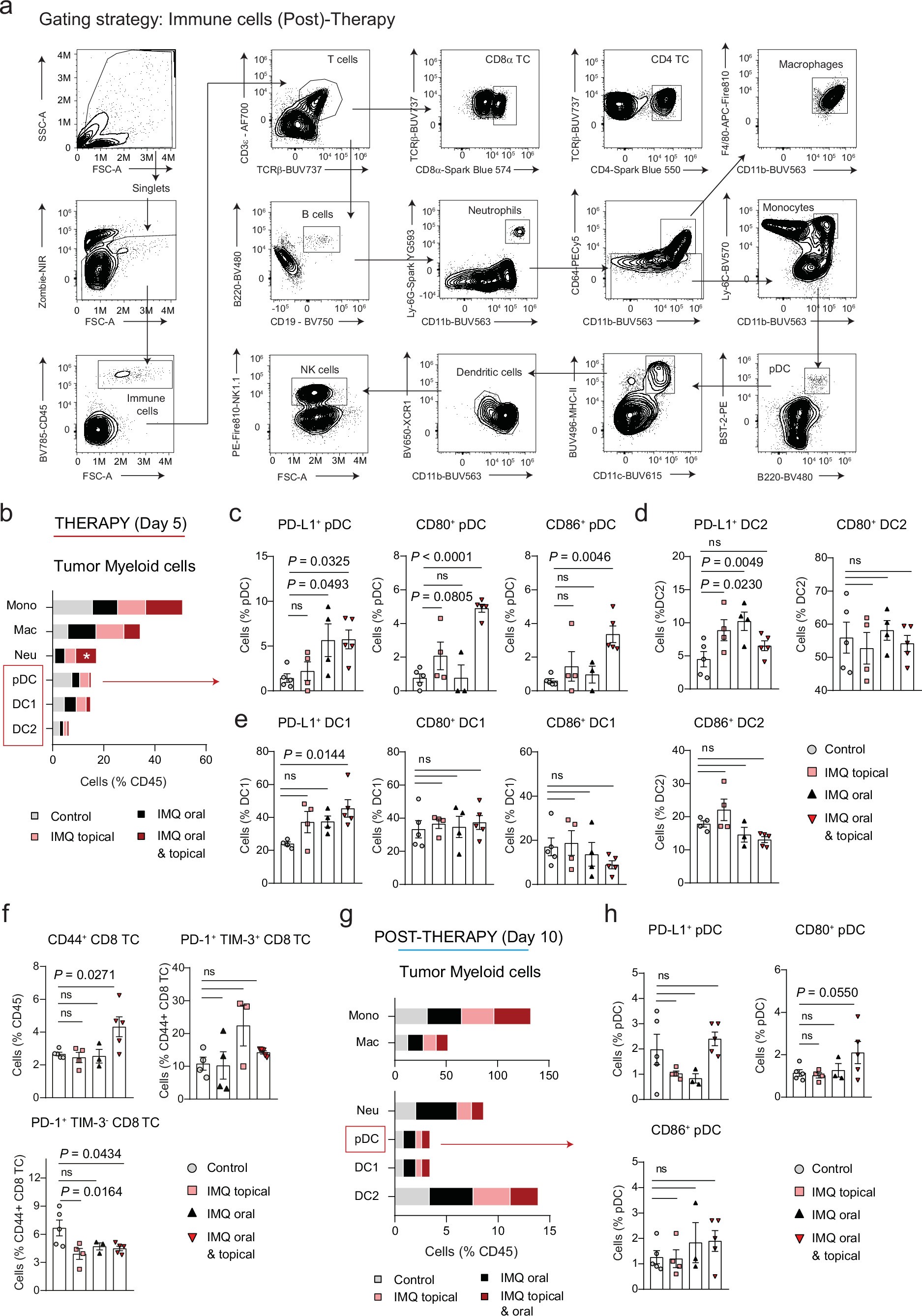 Extended Data Fig. 9: Myeloid cell composition in B16-F10 tumors after IMQ therapy.