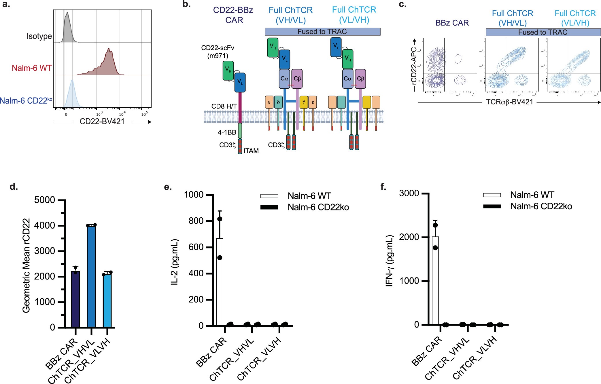 Extended Data Fig. 5: TRAC usage does not improve m971-based ChTCR T cell functions.