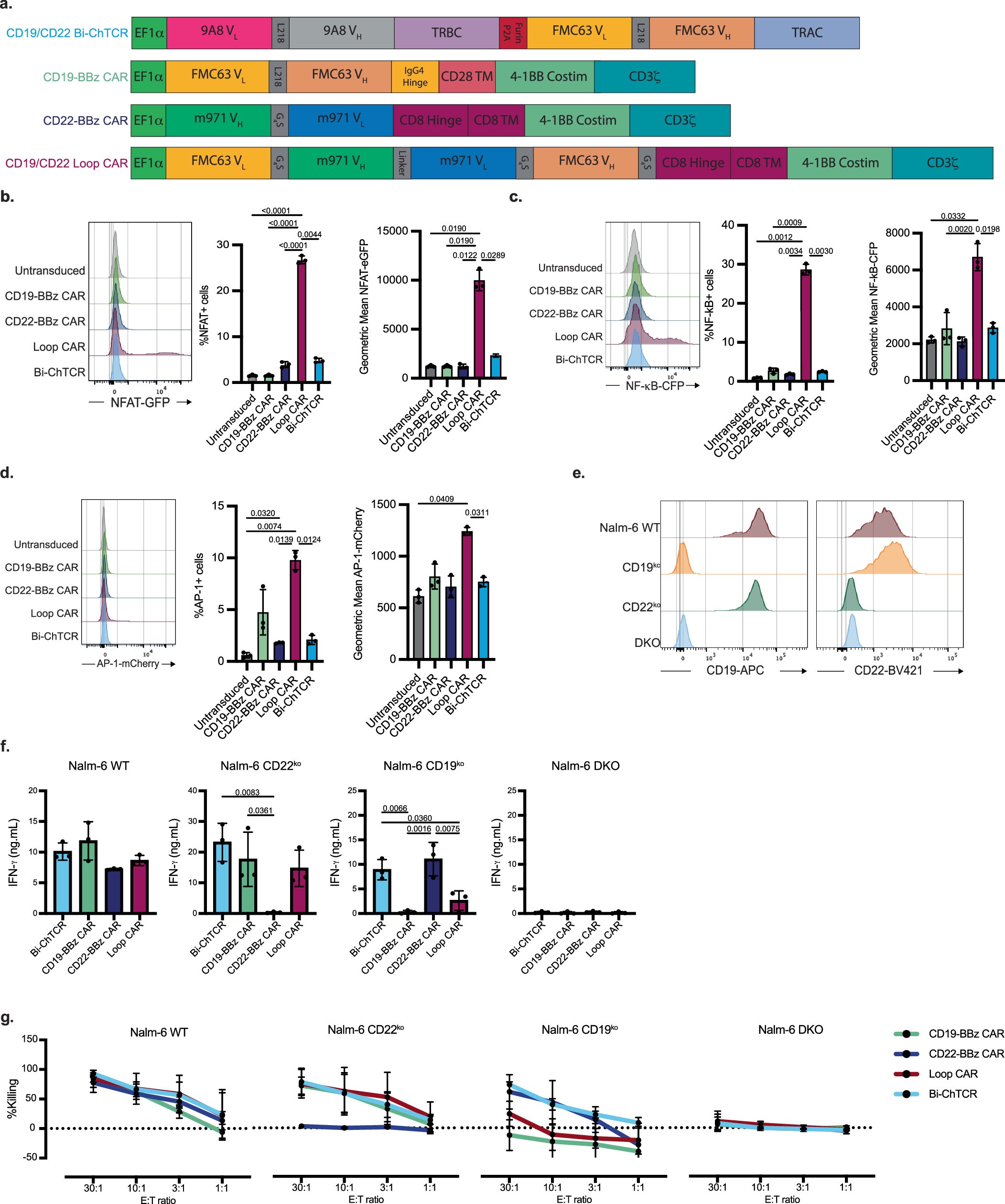 Extended Data Fig. 7: Design and function of bispecific CD19/CD22 ChTCR.