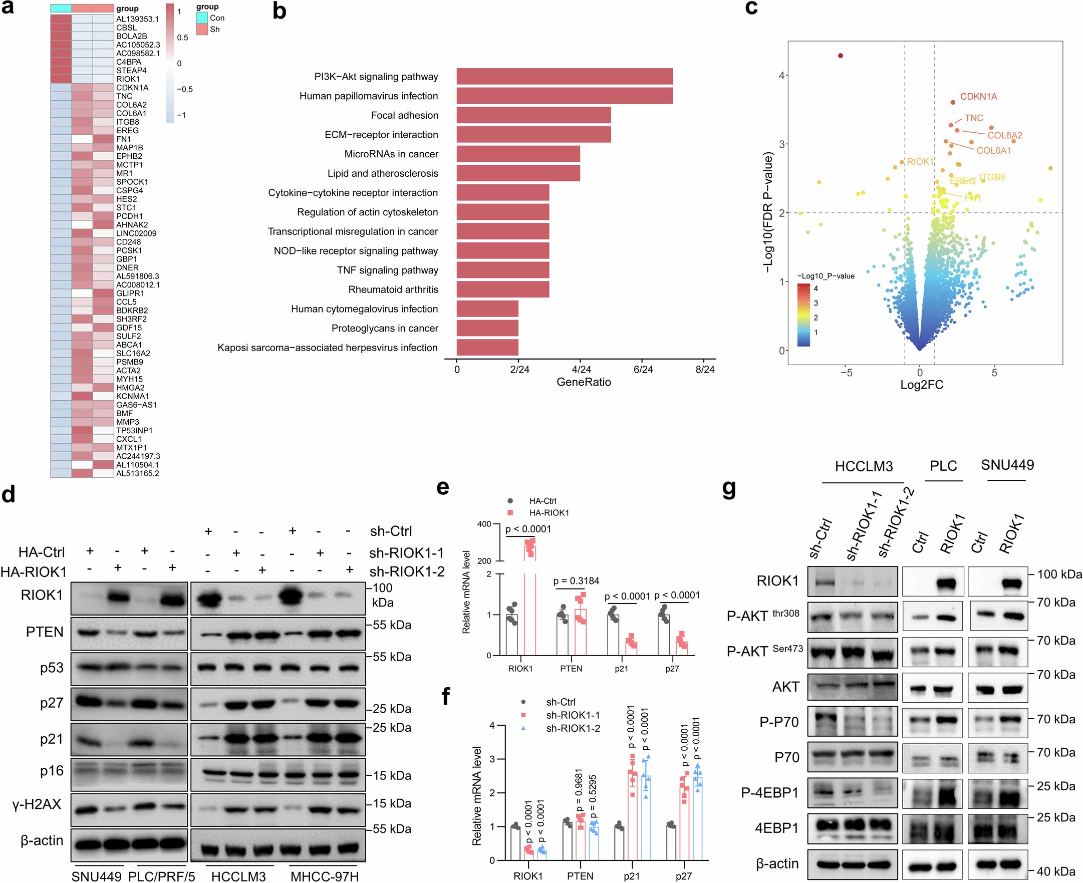 Extended Data Fig. 2