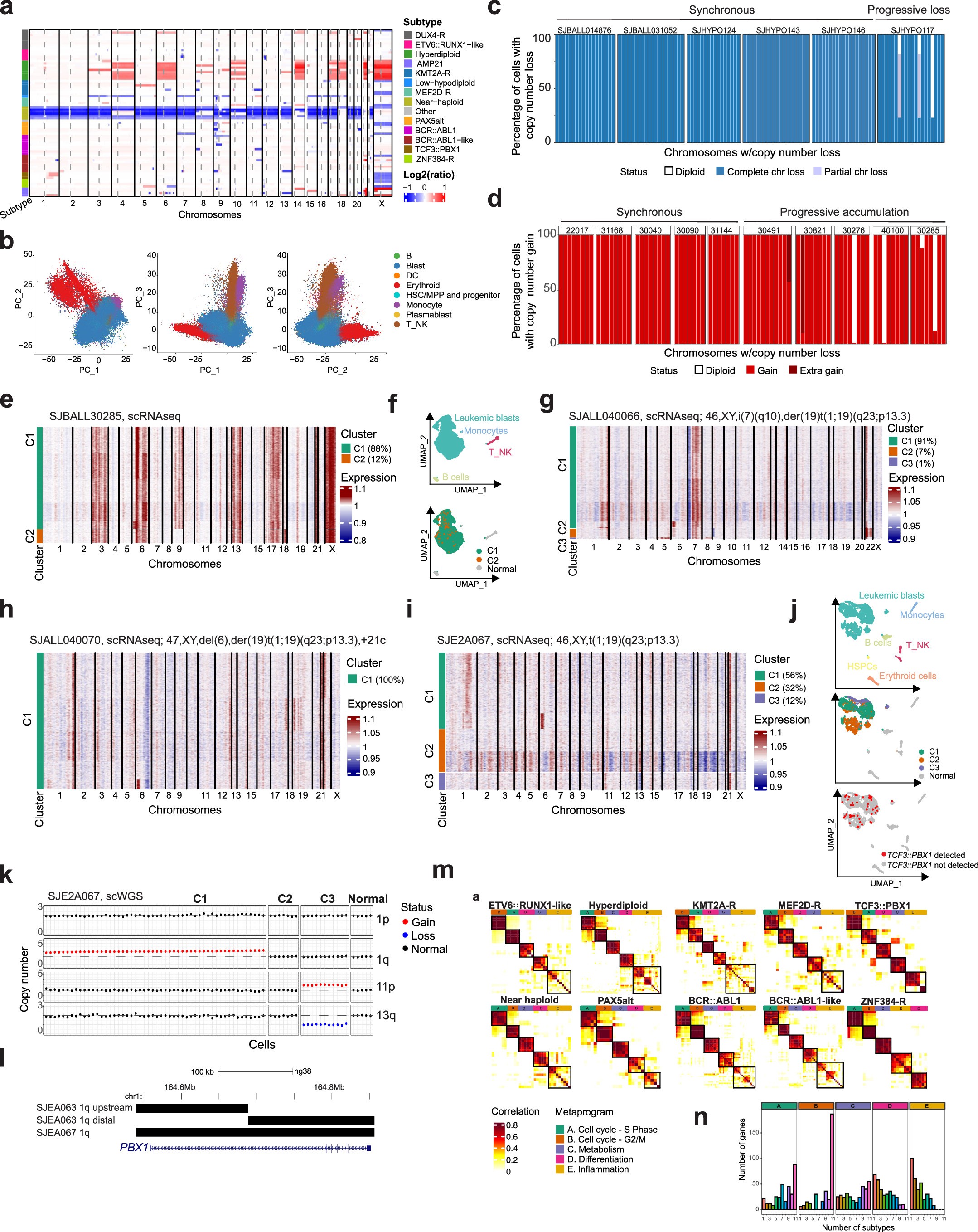Extended Data Fig. 1: Genetic heterogeneity elucidated by inferCNV.