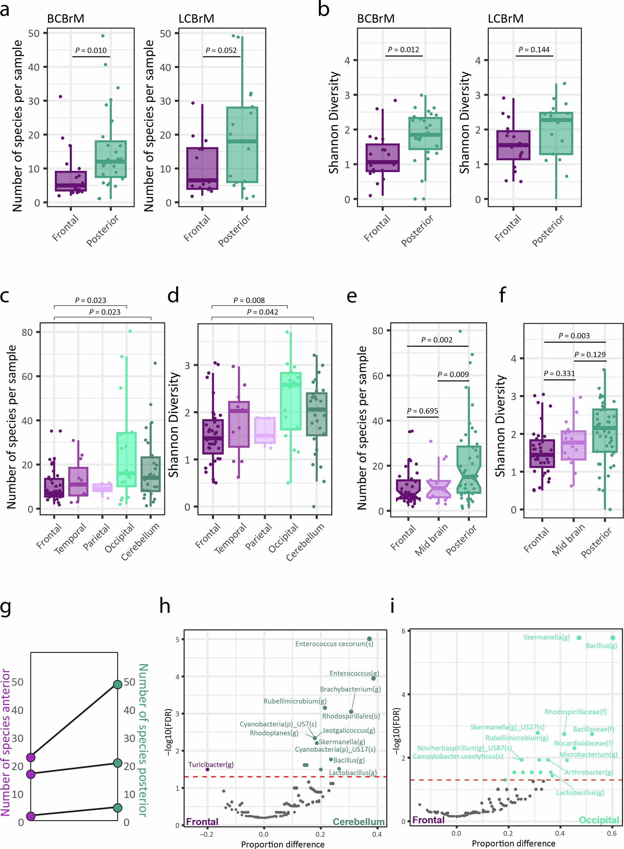 Extended Data Fig. 9: Location-based variation of bacterial richness, diversity, and prevalence in brain metastases.