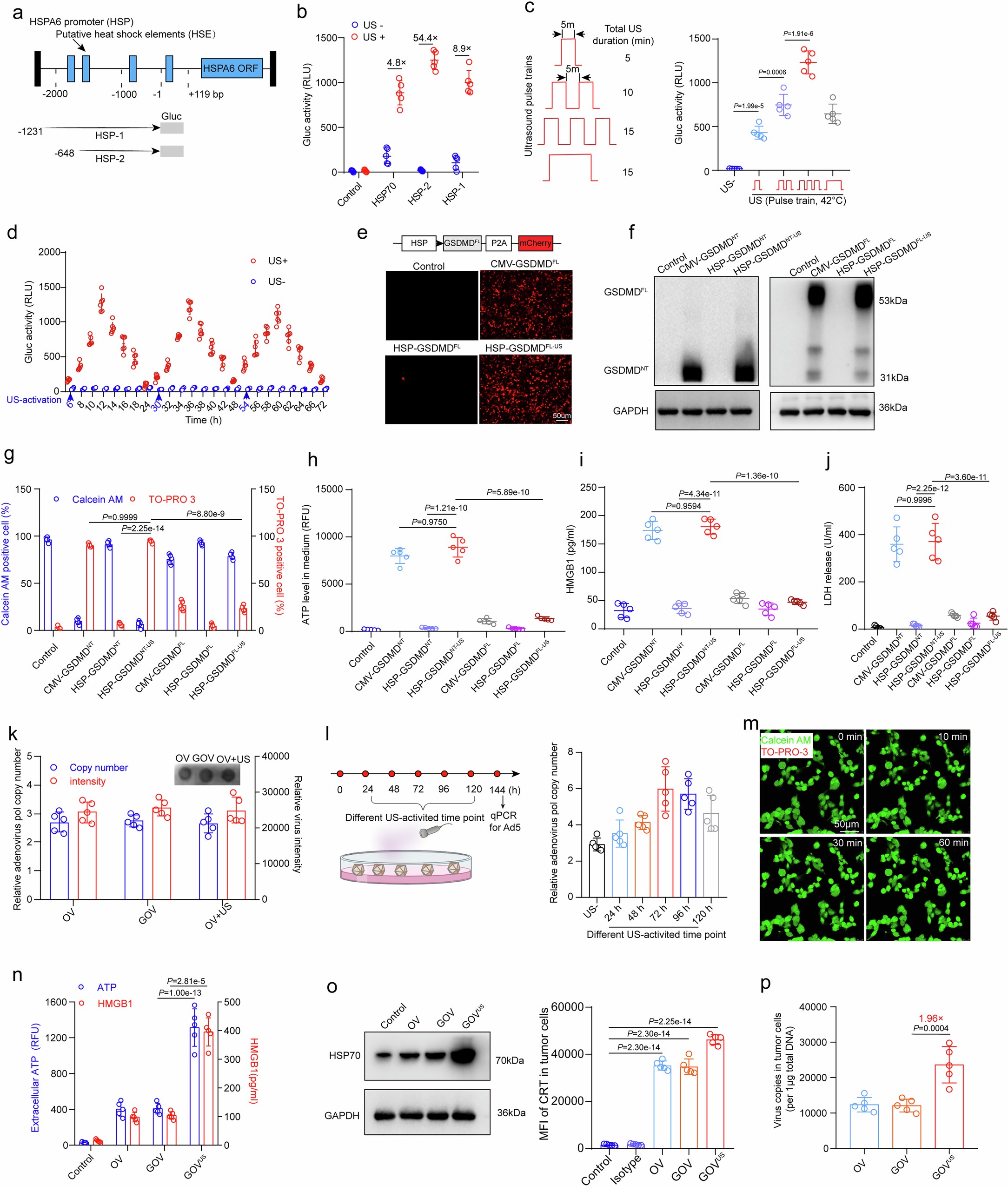 Extended Data Fig. 1: Evaluation of ultrasound-triggered gene switches in pancreatic cancer cells.