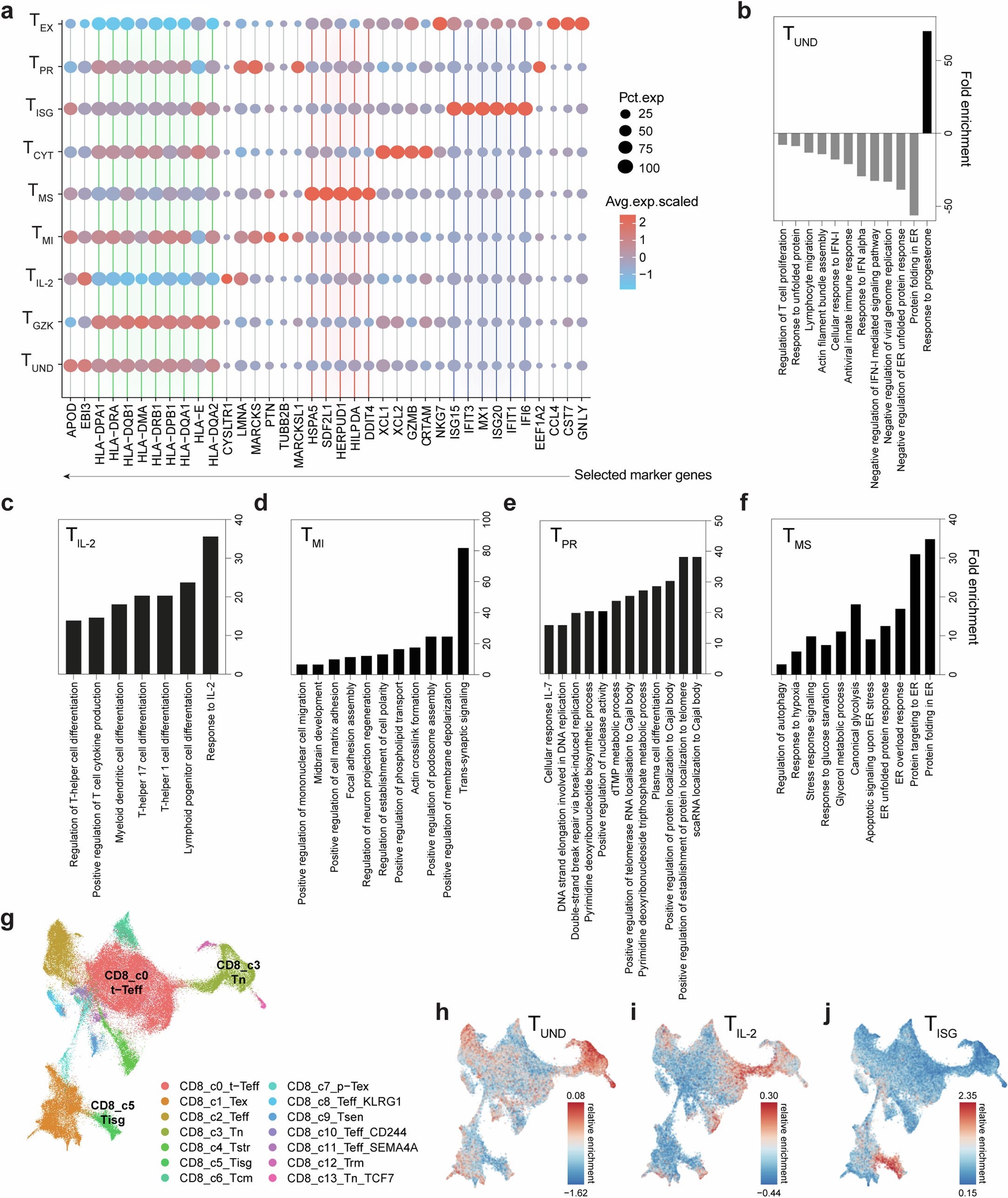 Extended Data Fig. 8: Key marker genes, GO terms and reference data projection of GD2 CAR T cell clusters.