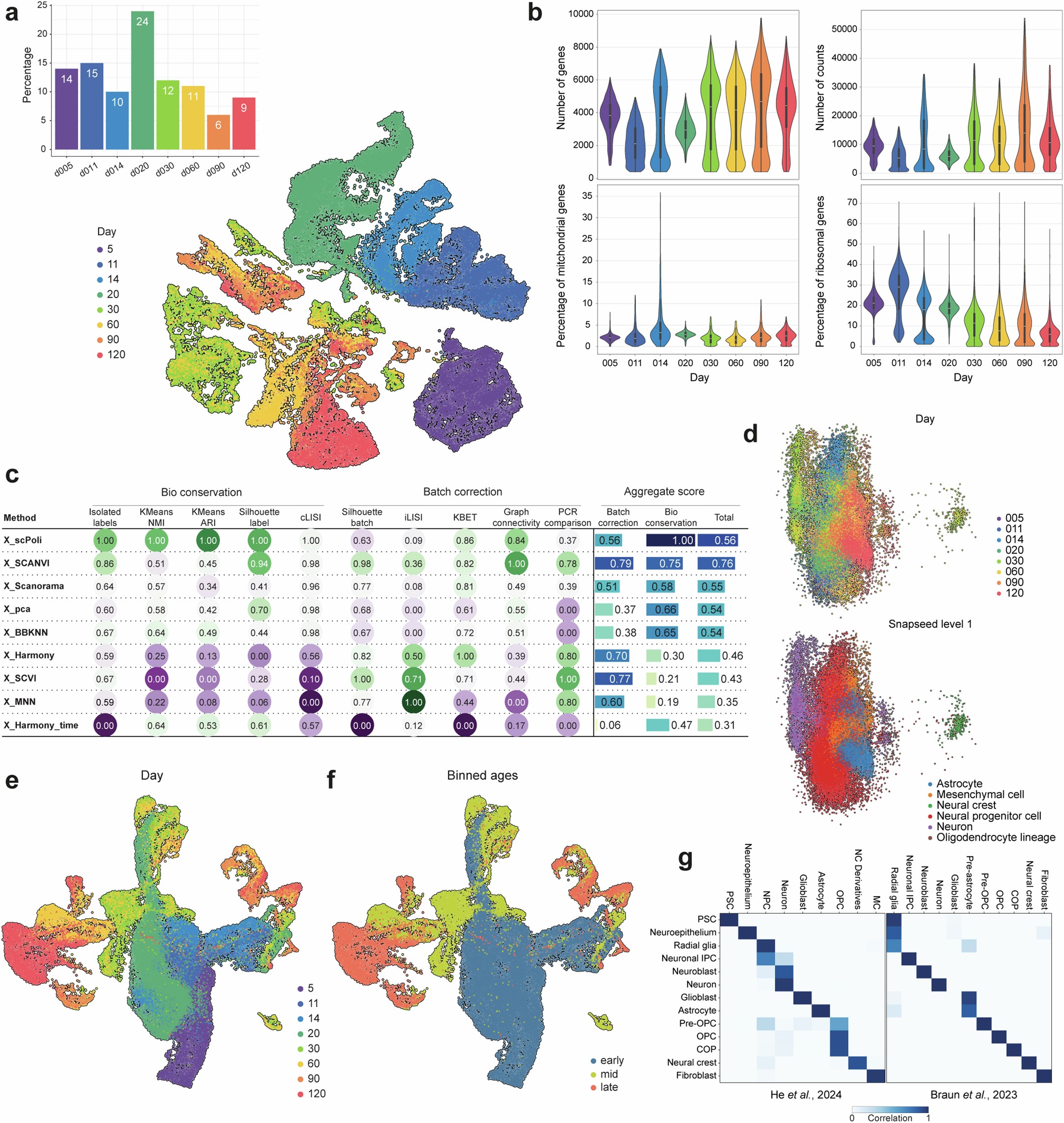 Extended Data Fig. 2: Quality control and integration of brainstem organoids time course scRNA-seq data.