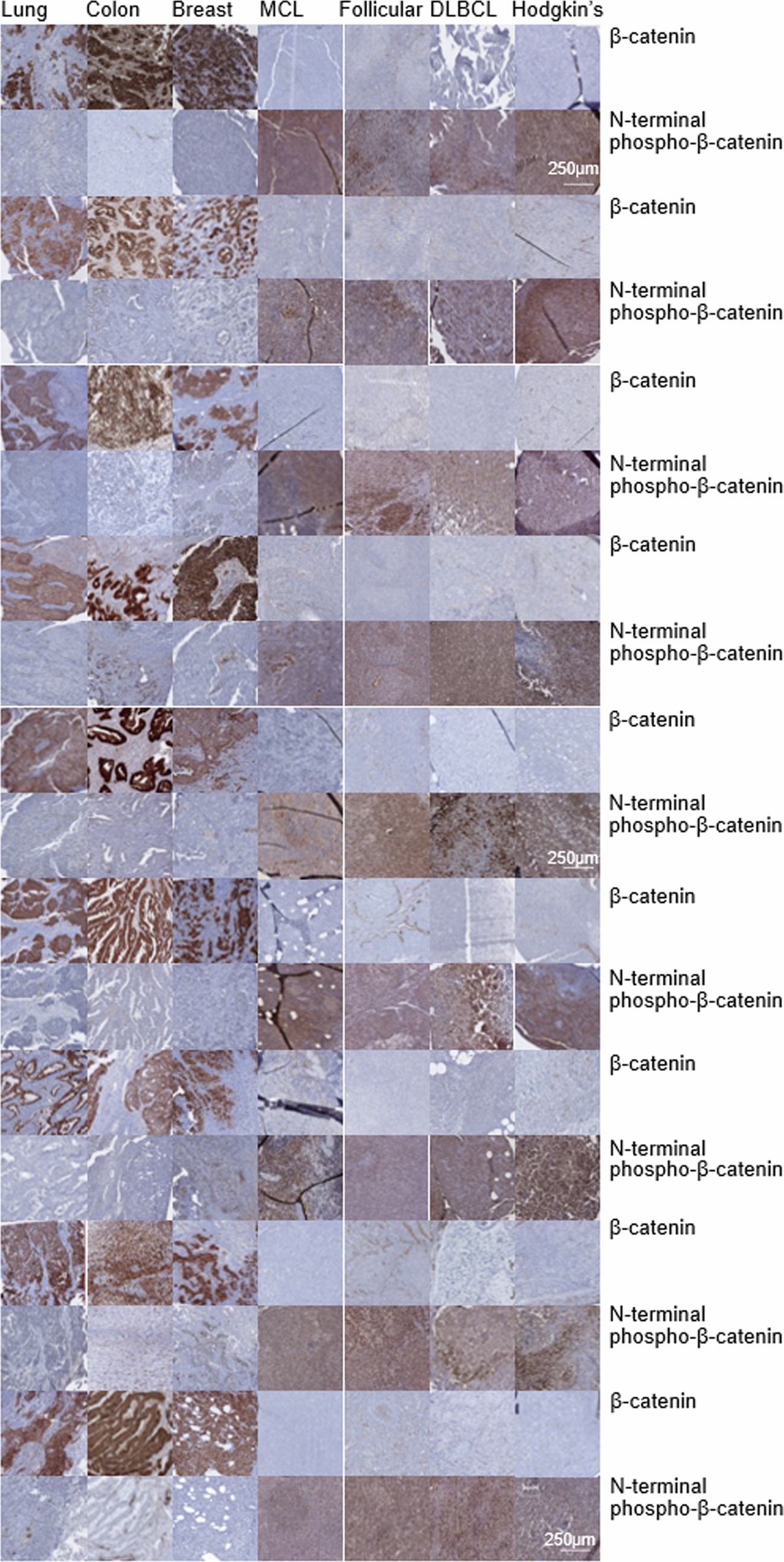 Extended Data Fig. 3
