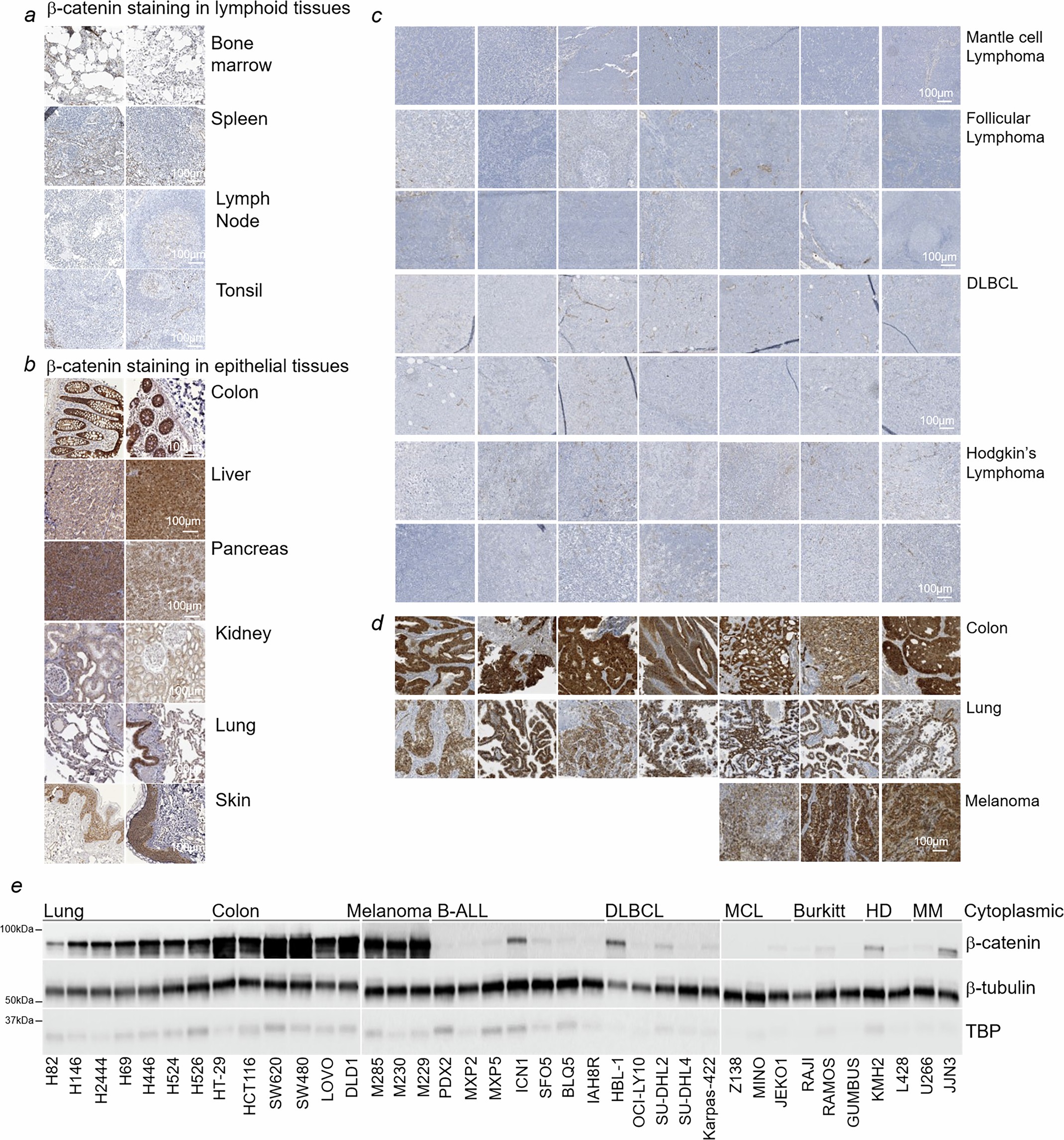 Extended Data Fig. 2