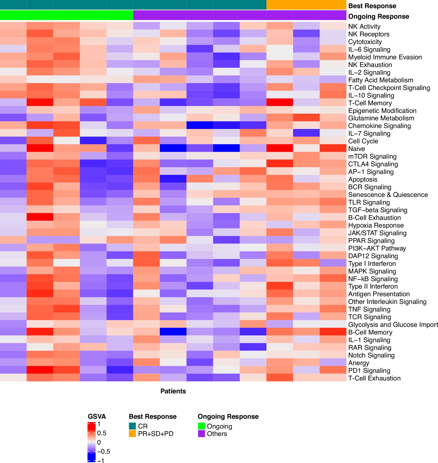 Extended Data Fig. 6: Heatmap depicts enrichment scores of gene sets as defined in the Nanostring immune-exhaustion panel.