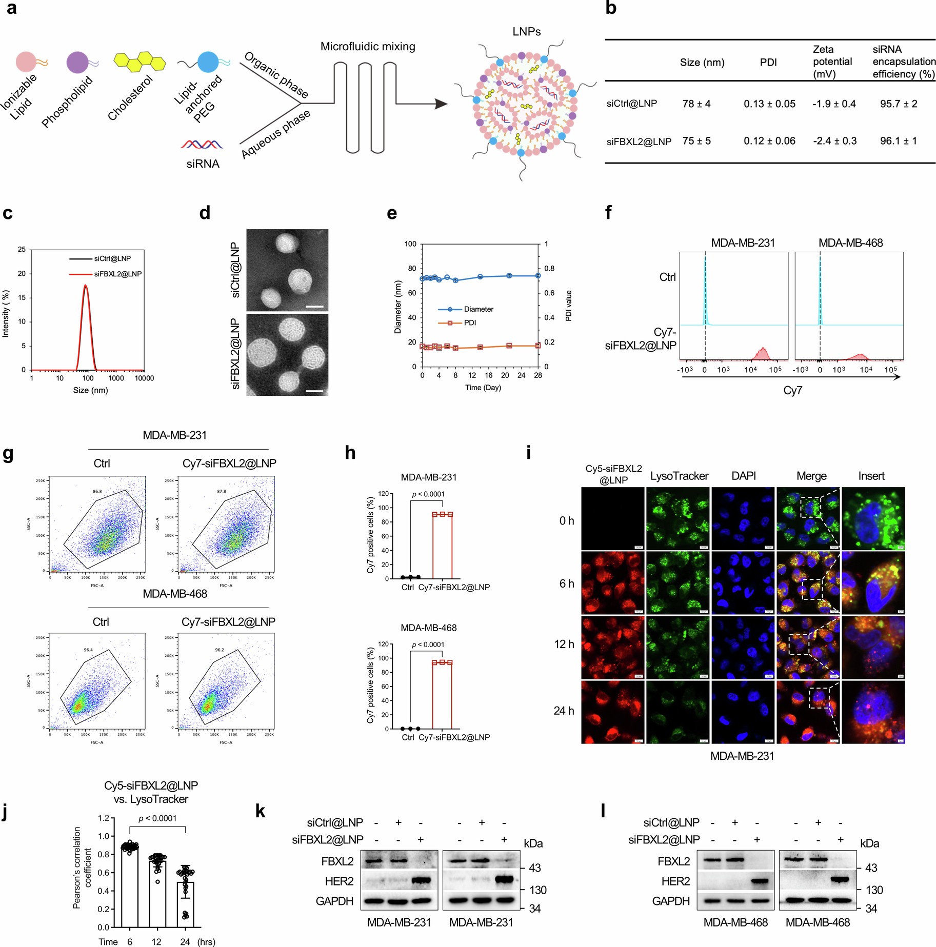 Extended Data Fig. 3