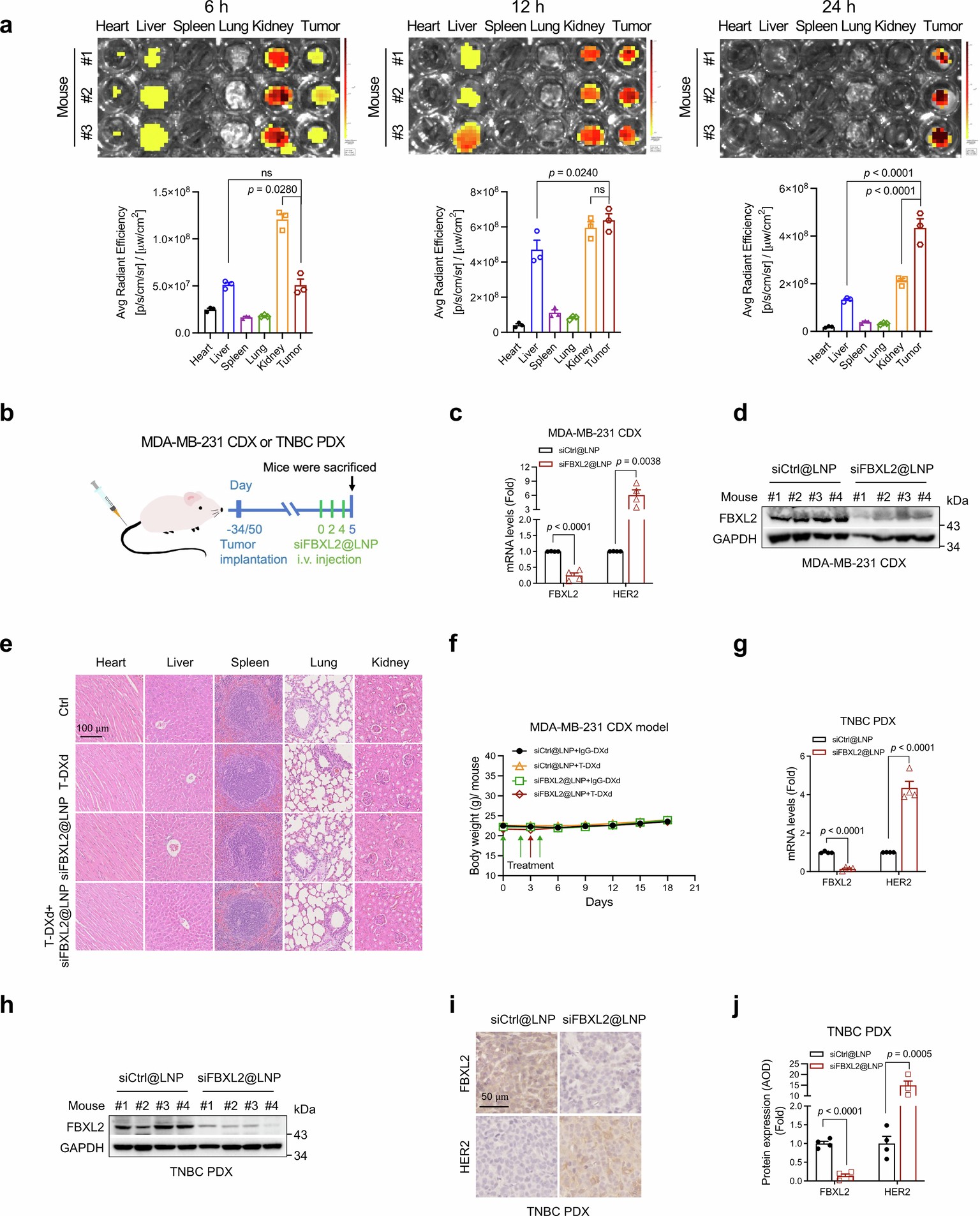 Extended Data Fig. 4