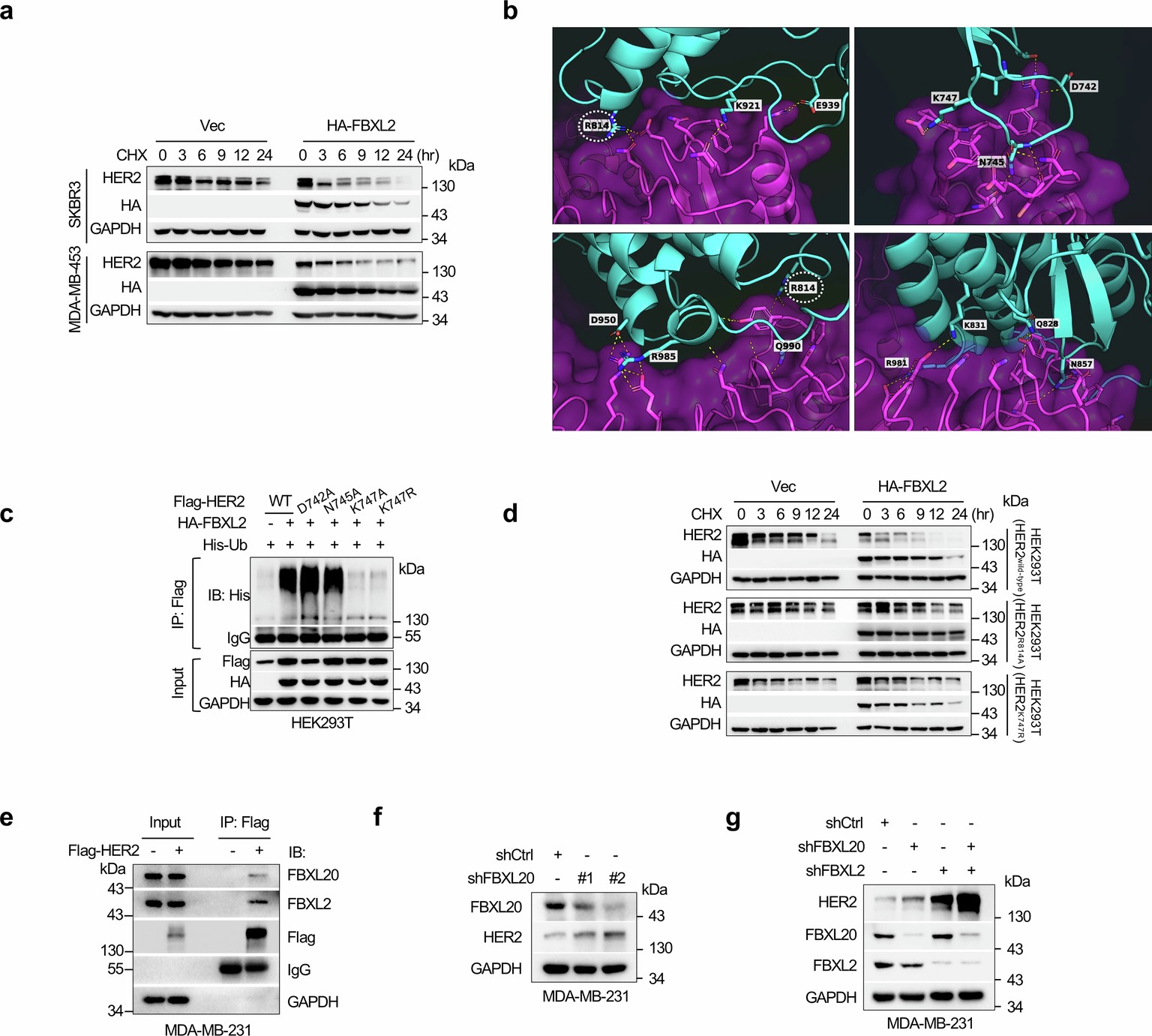 Extended Data Fig. 5