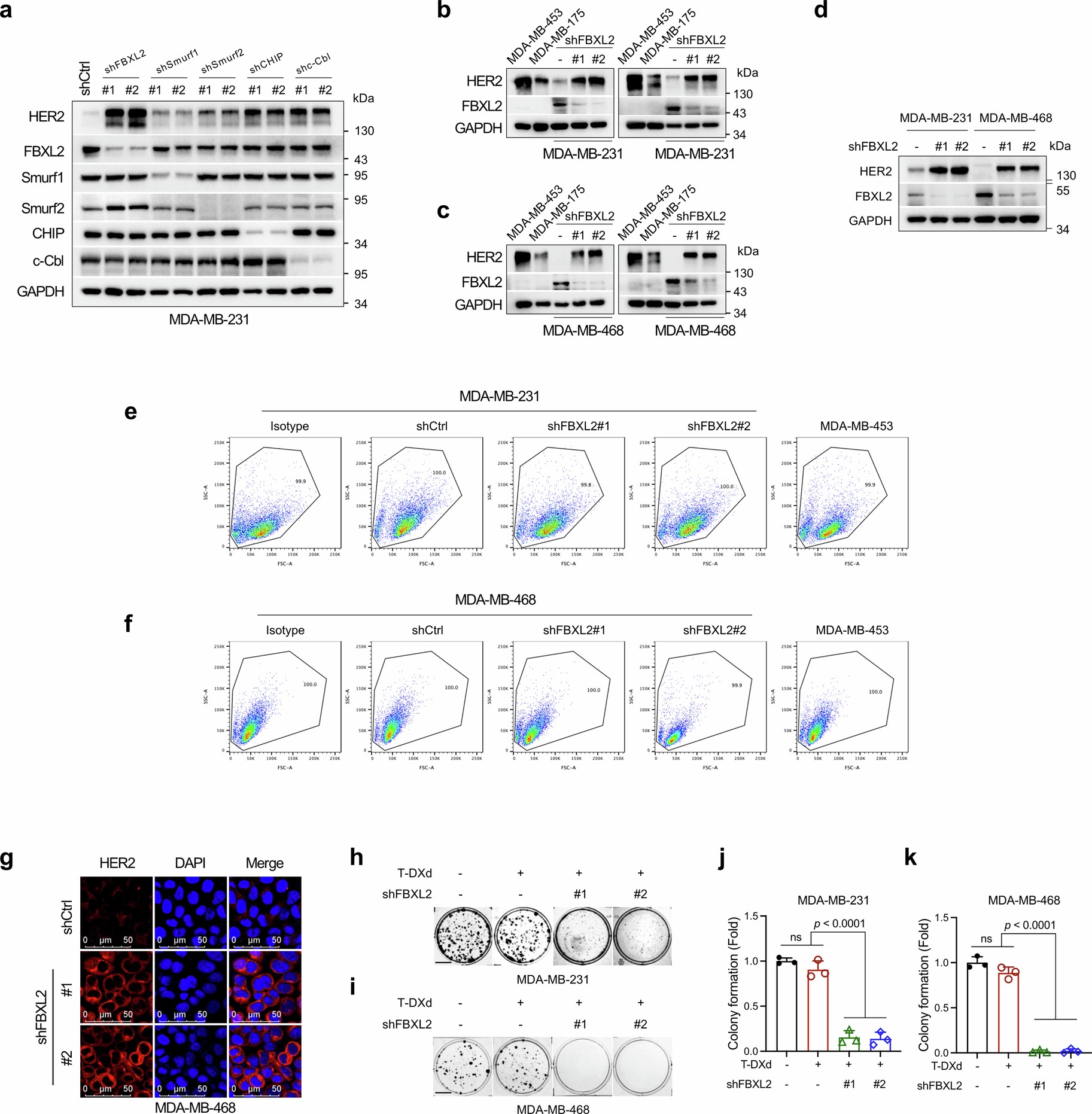 Extended Data Fig. 1