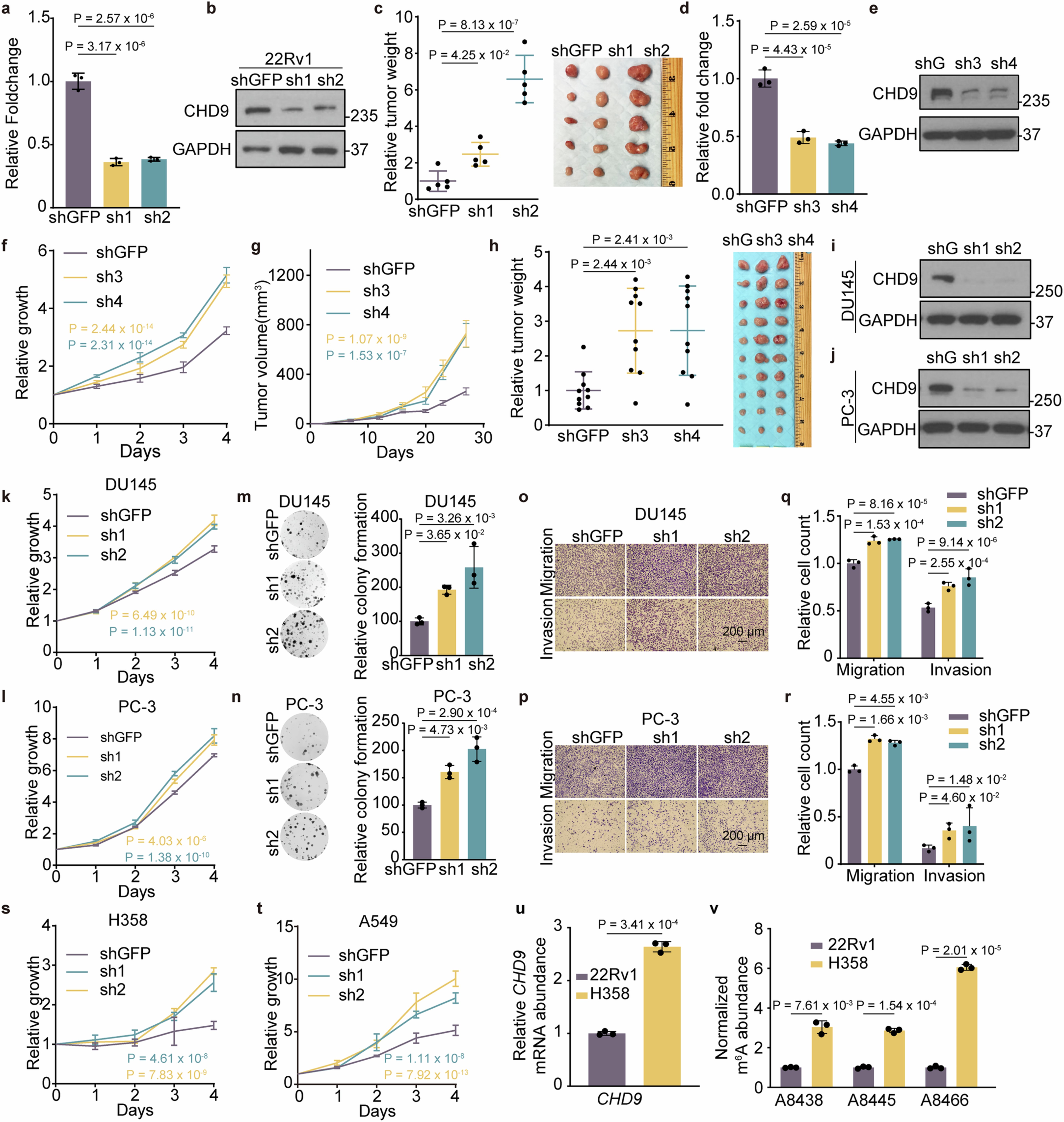 Extended Data Fig. 5: CHD9 suppresses prostate cancer in vitro and in vivo.