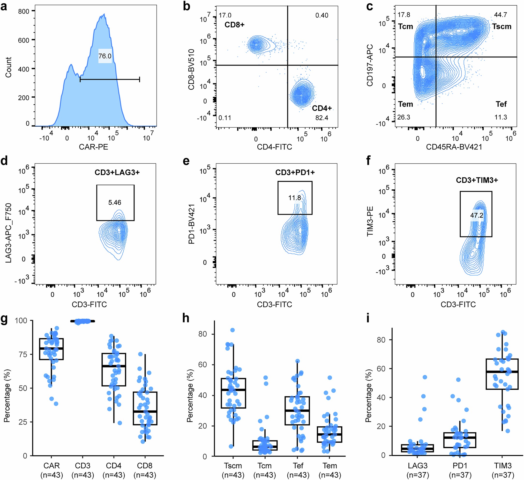 Extended Data Fig. 8: Flow cytometry analysis of PC13 CAR T cell phenotype.