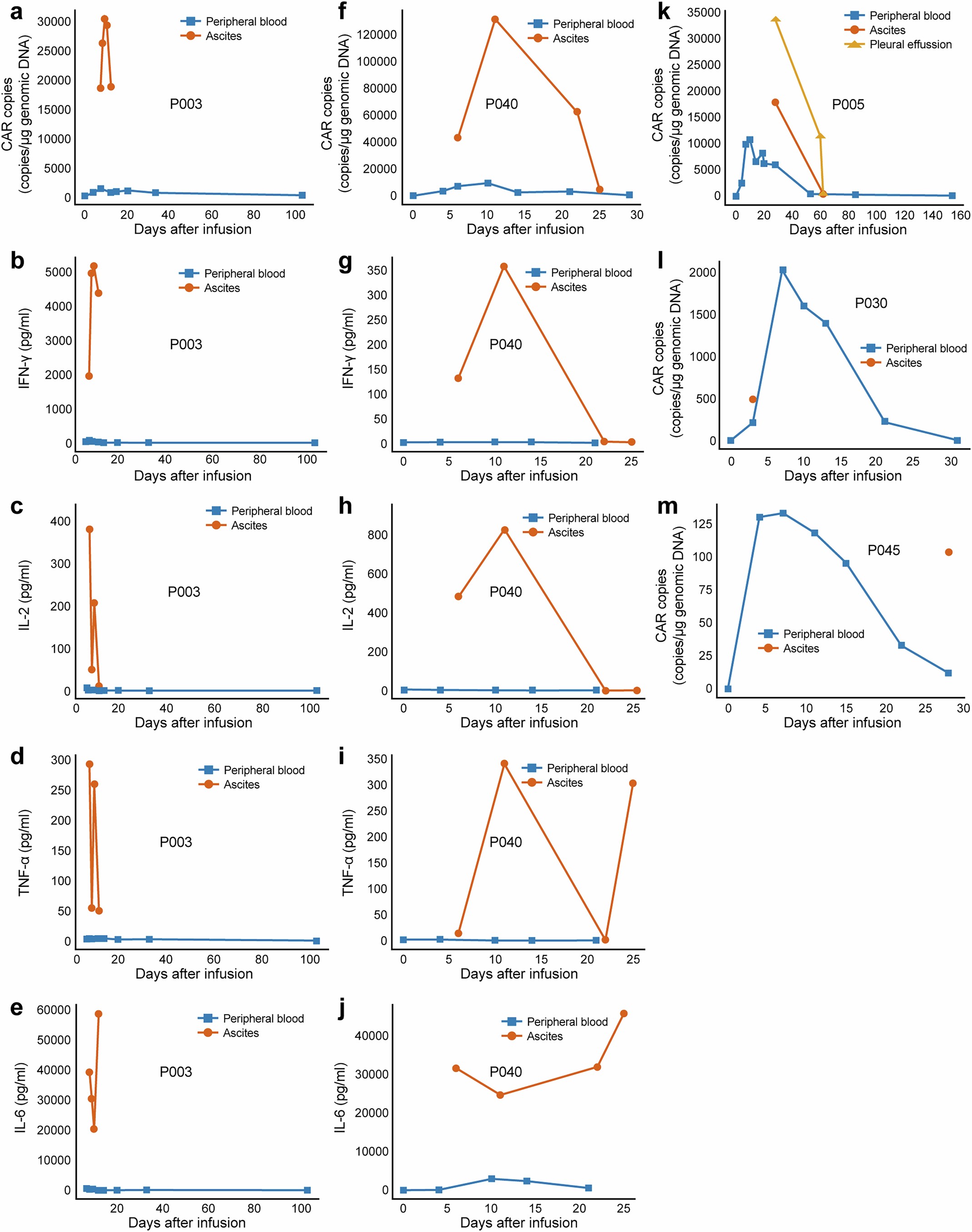 Extended Data Fig. 9: Distribution of PC13 CAR T cells and cytokines in body fluids from representative patients.