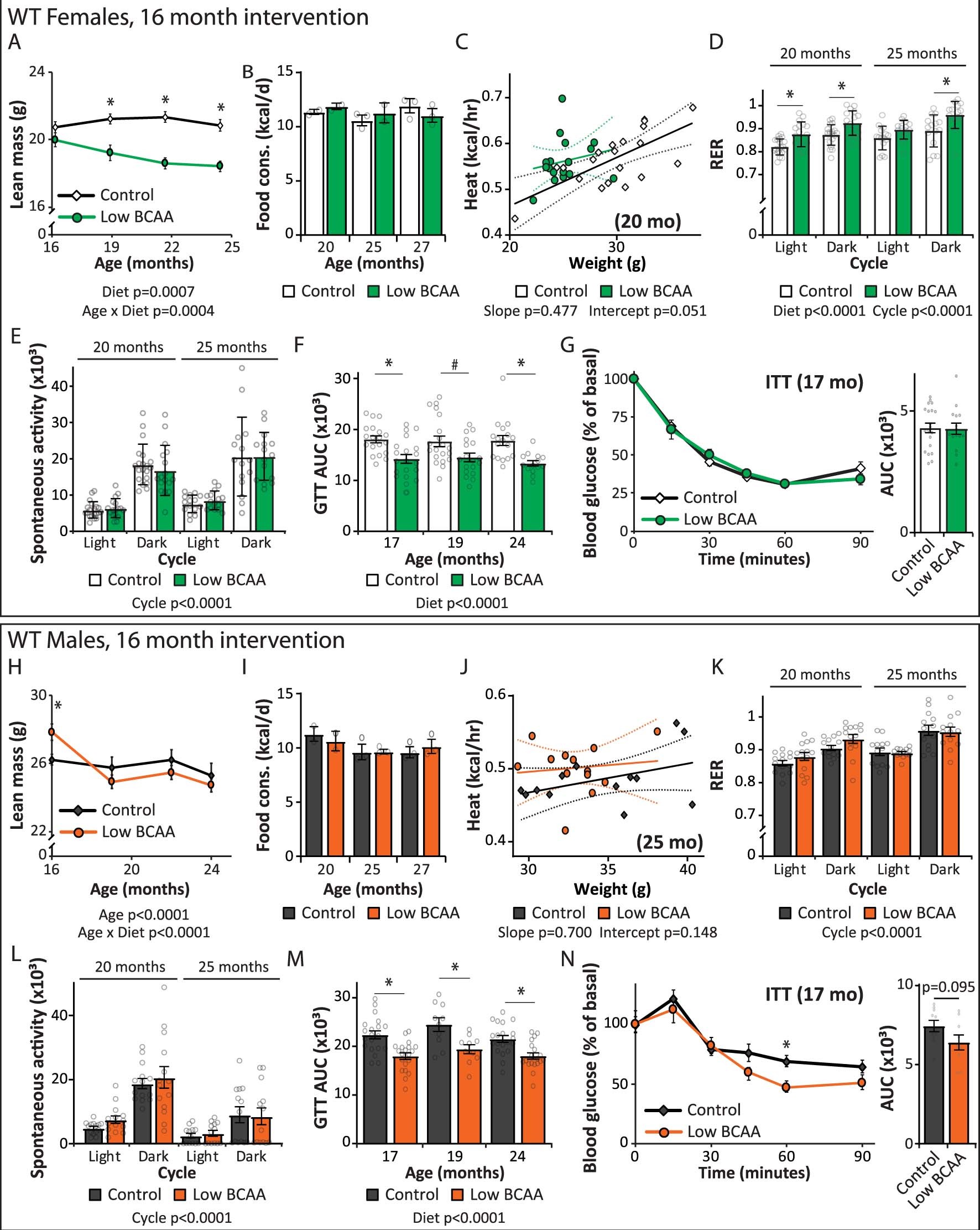 Extended Data Fig. 1: A Low BCAA diet promotes the metabolic health of aged wild-type mice.