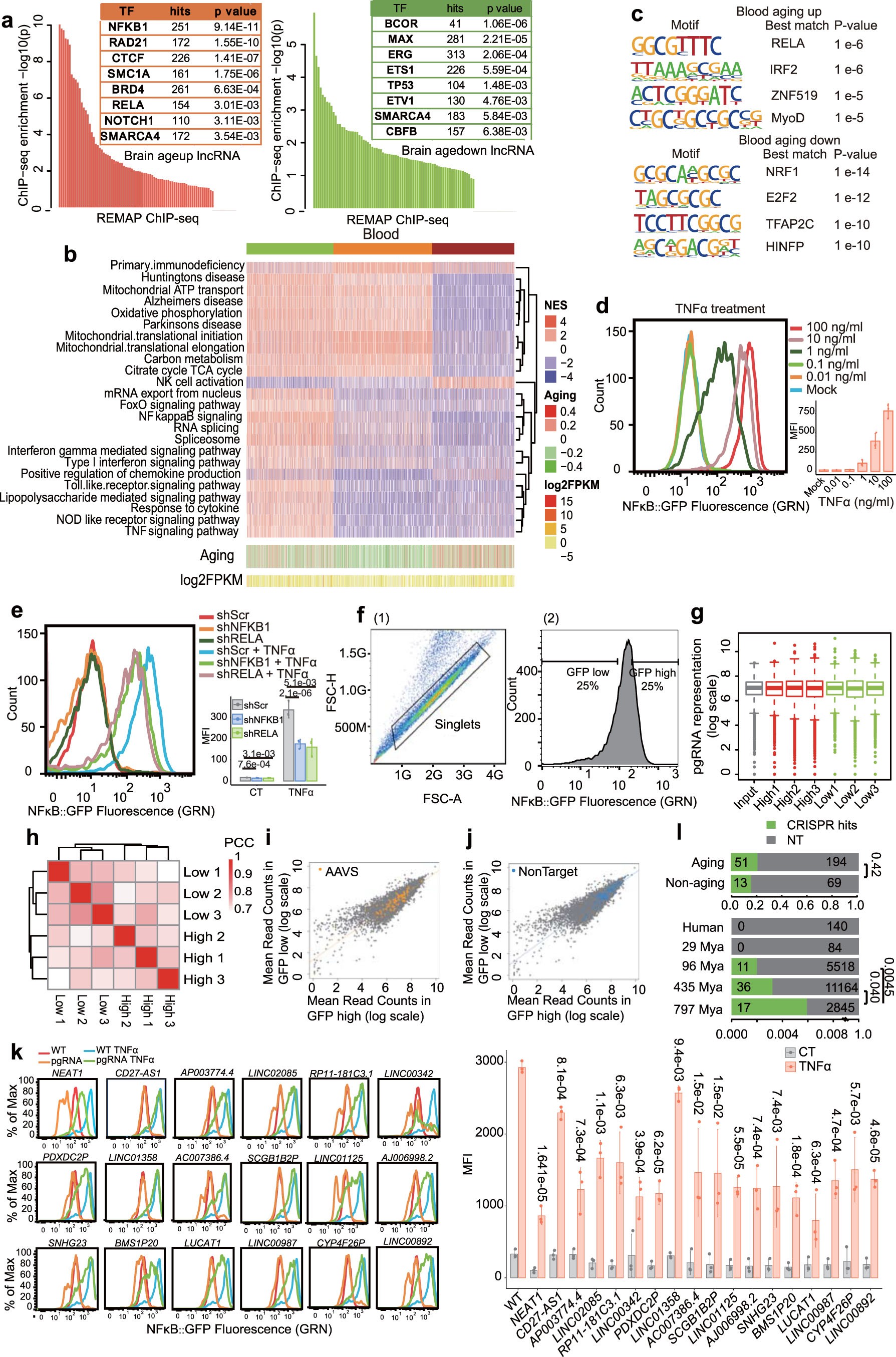 Extended Data Fig. 4