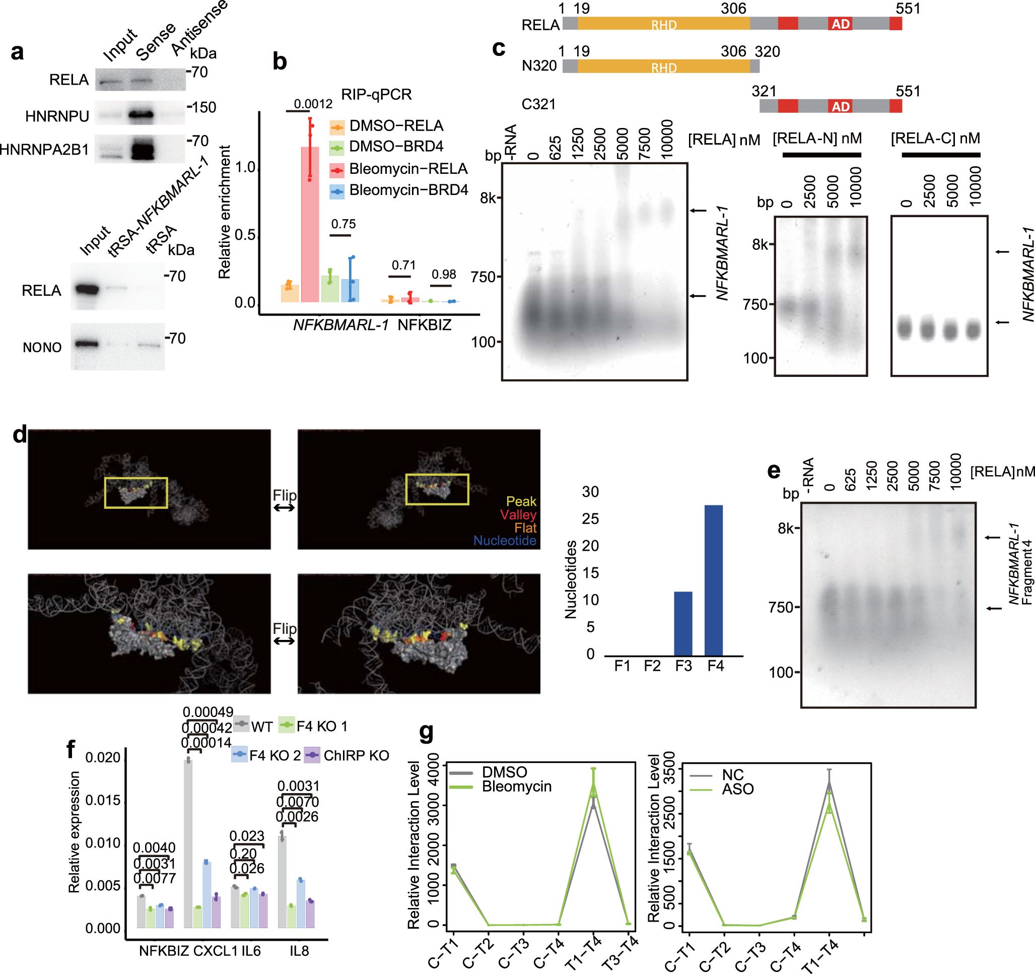 Extended Data Fig. 9