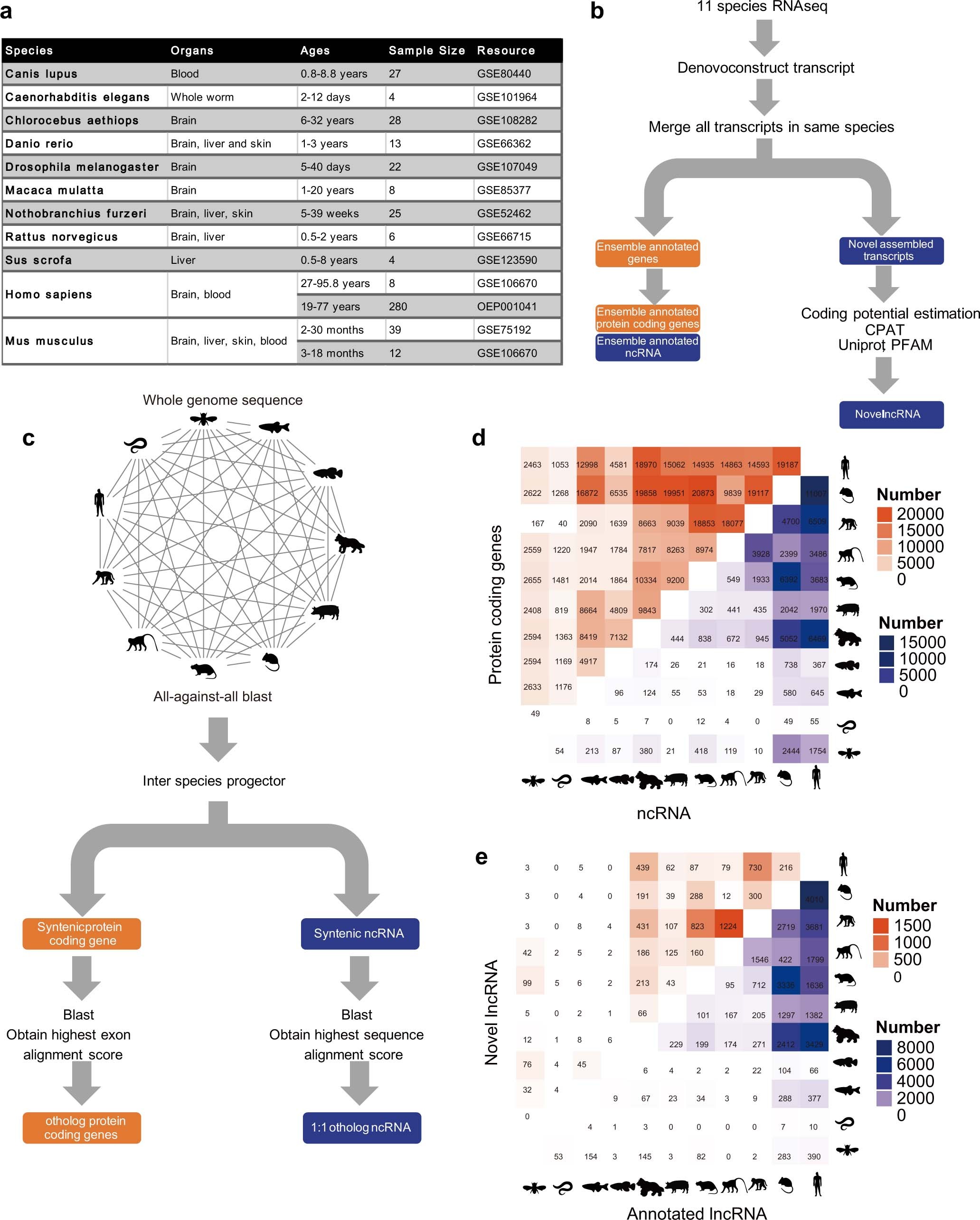 Extended Data Fig. 1