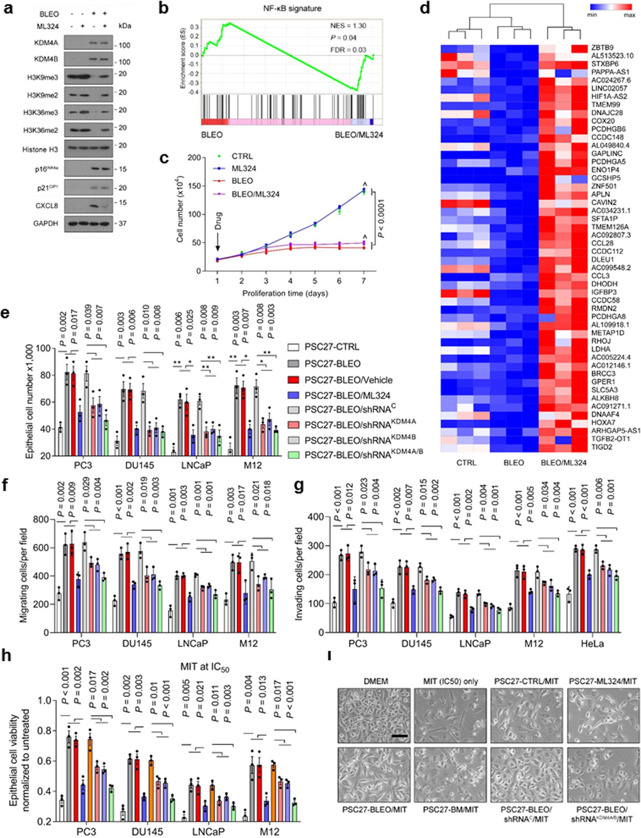 Extended Data Fig. 5