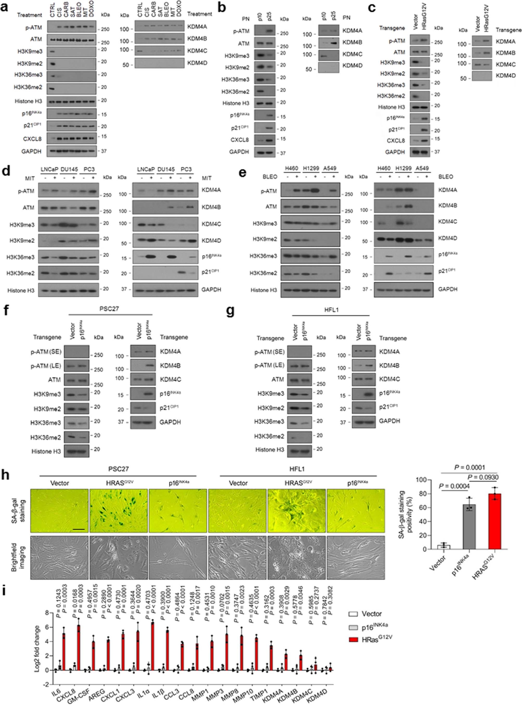 Extended Data Fig. 1