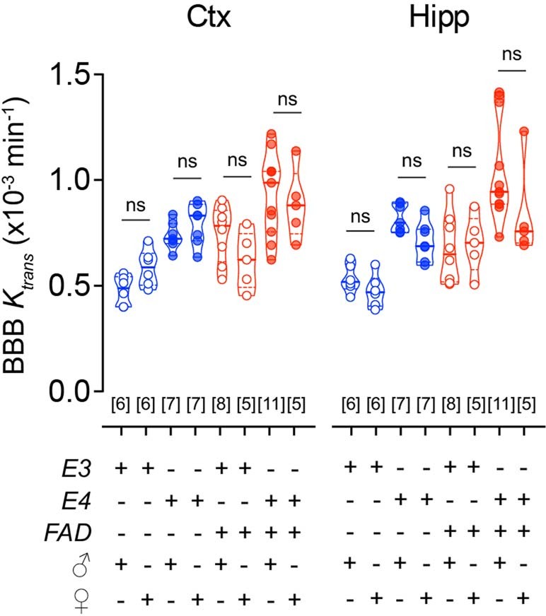Extended Data Fig. 1: Additional characterization of blood-brain barrier breakdown in old APOE4 and APOE4;5xFAD male and female mice.