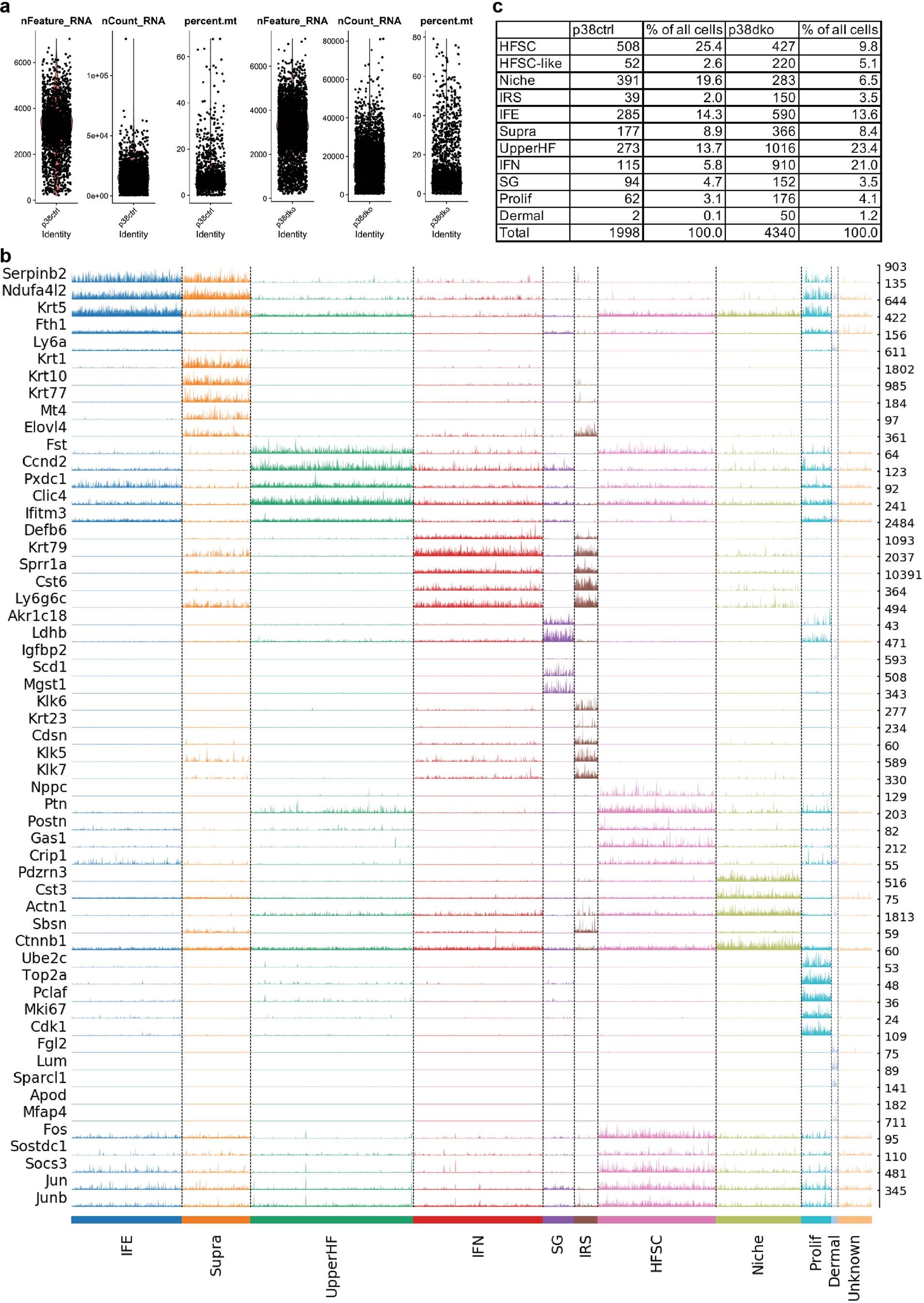 Extended Data Fig. 6: Quality control and clustering of single-cell RNA-seq data from control and dKO.