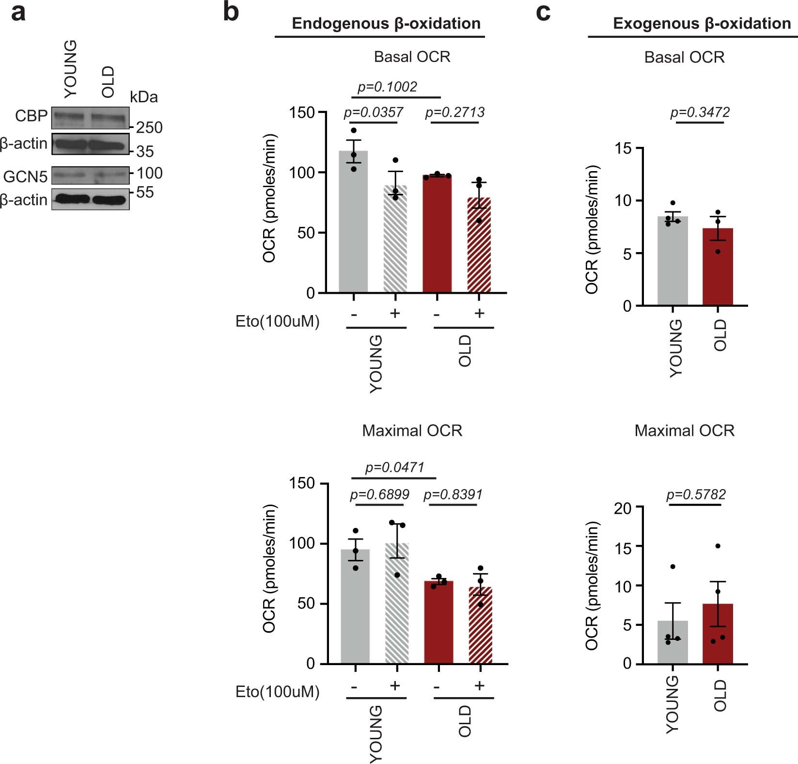 Extended Data Fig. 4