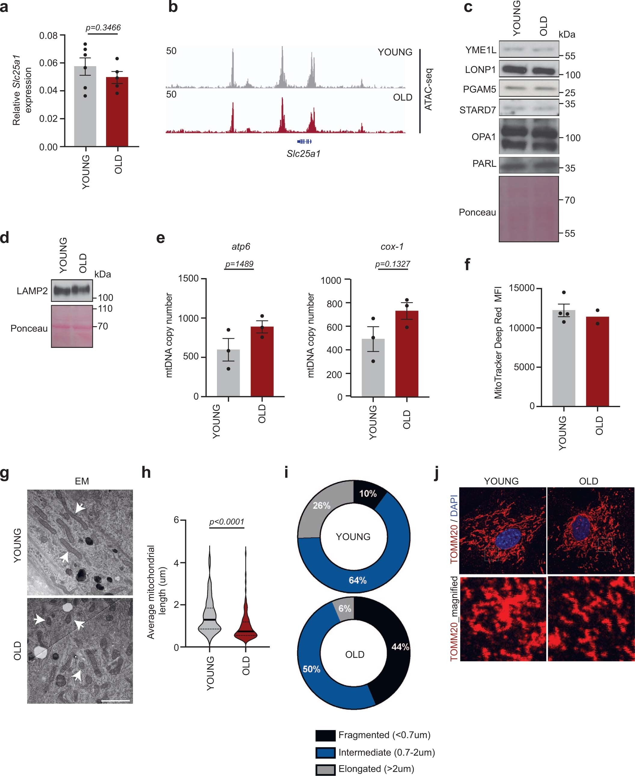 Extended Data Fig. 6