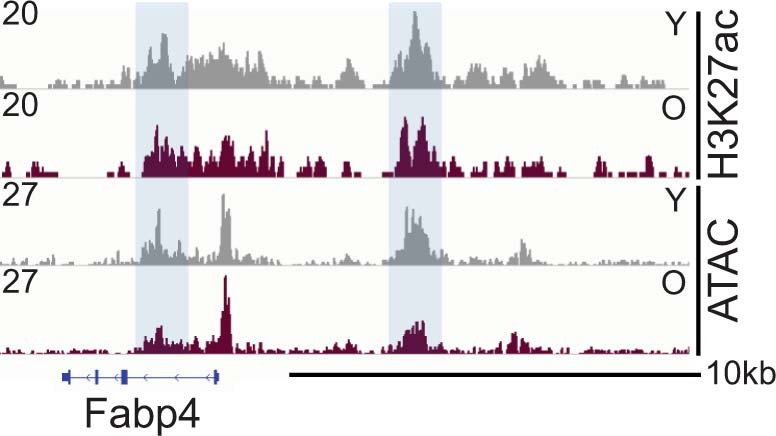 Extended Data Fig. 7