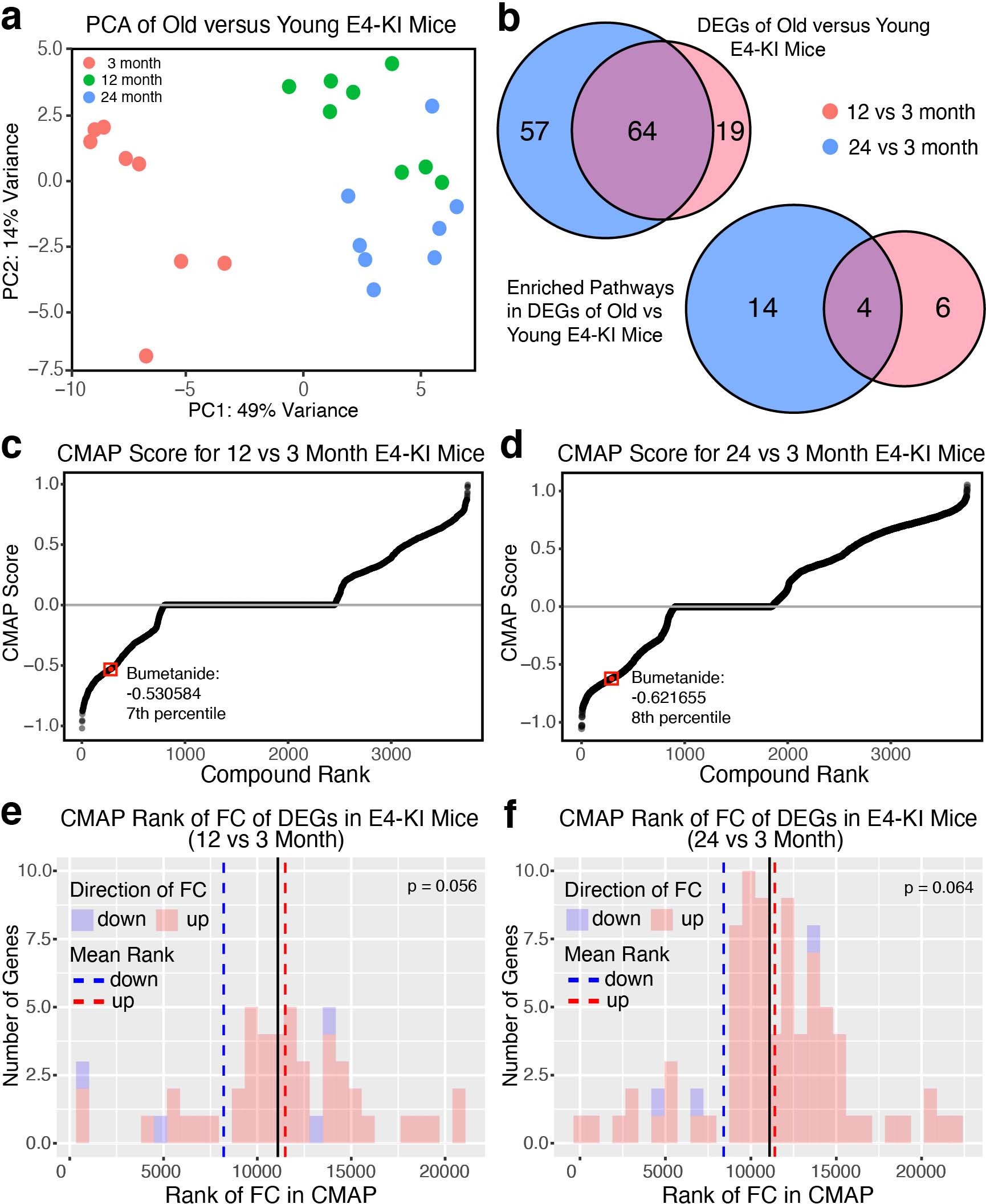 Extended Data Fig. 1: Bumetanide is also predicted to rescue the transcriptomic signature of aging in apoE4-KI mouse cortex.