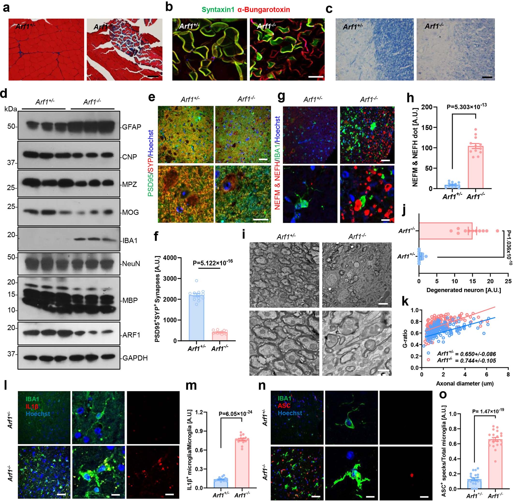 Extended Data Fig. 4