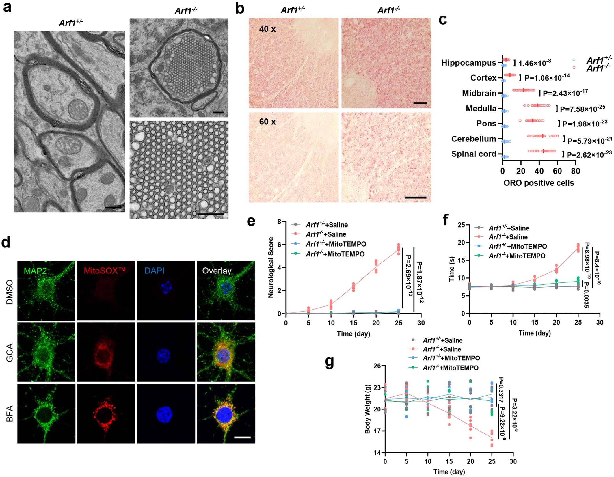 Extended Data Fig. 5