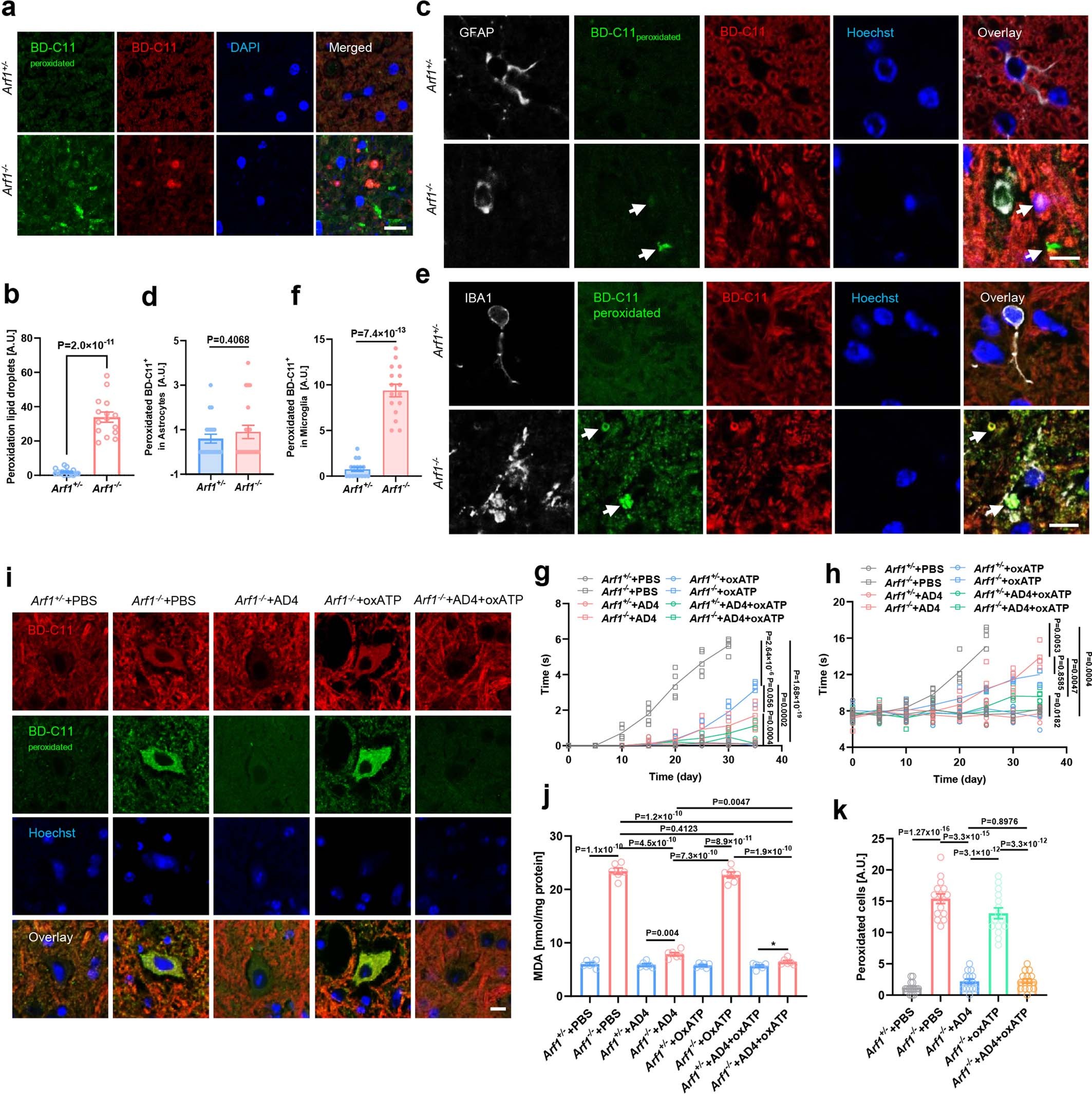 Extended Data Fig. 6