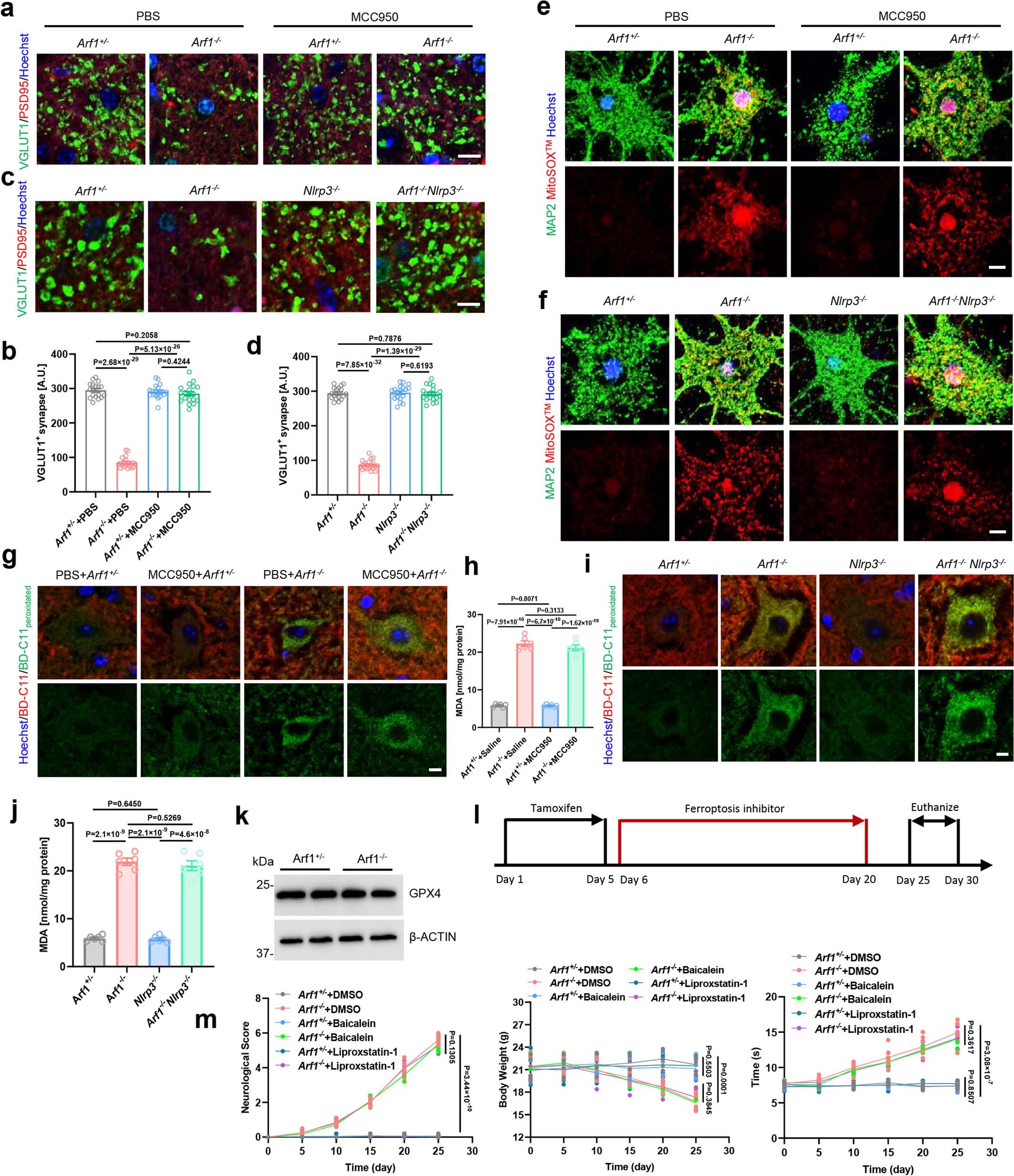 Extended Data Fig. 8
