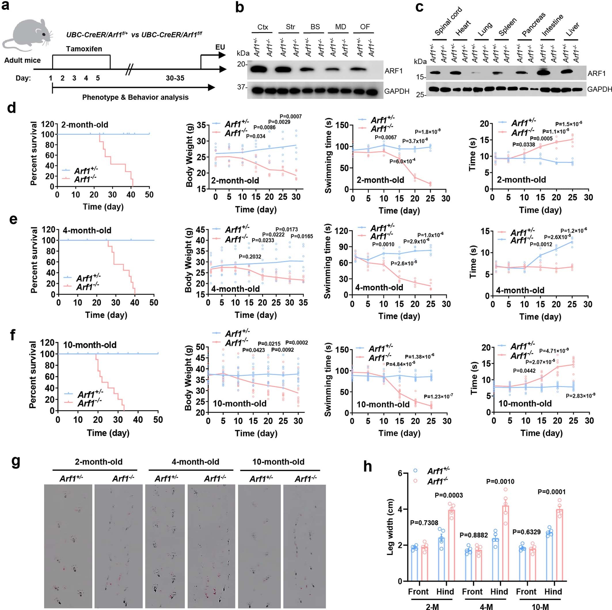 Extended Data Fig. 1