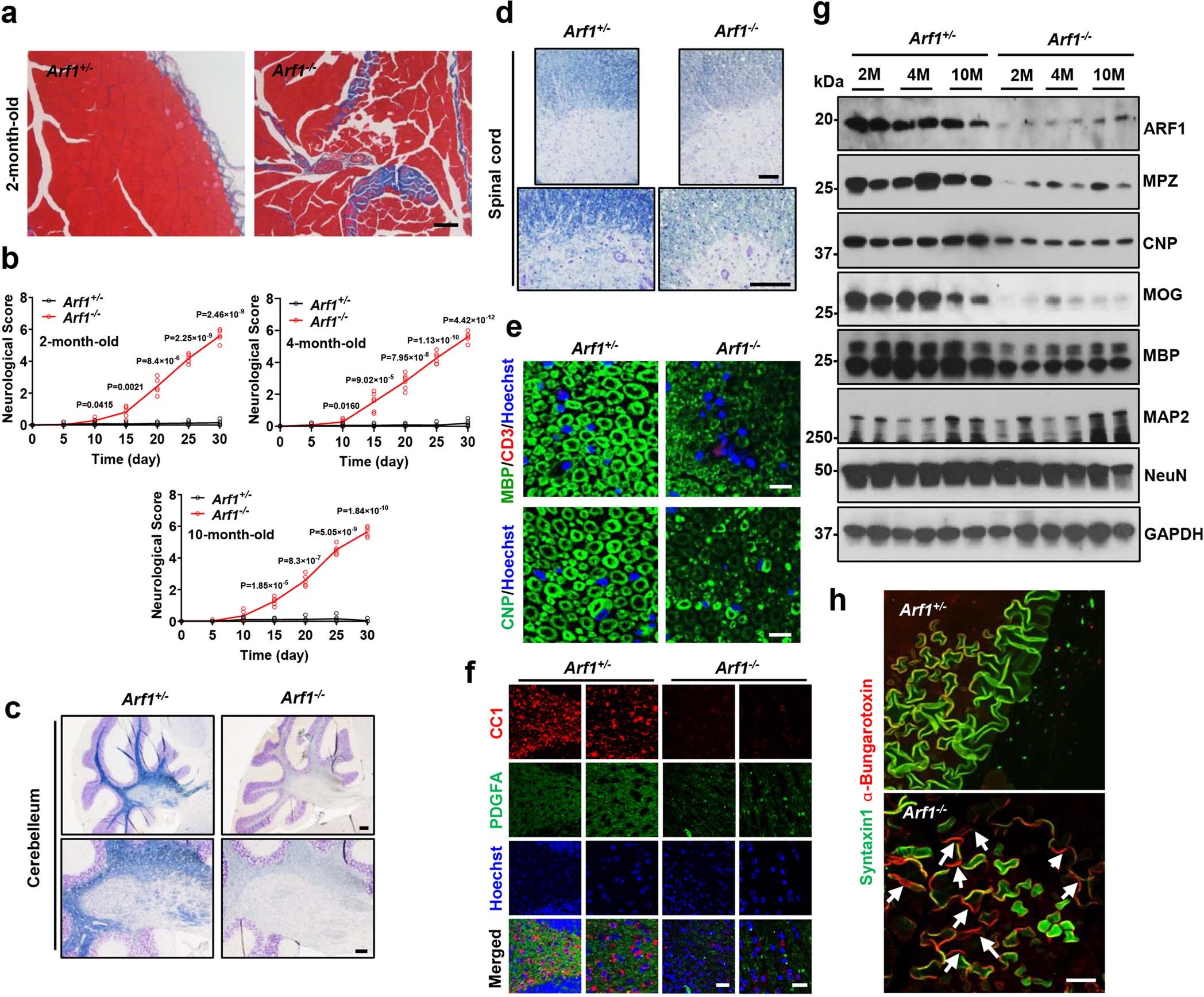 Extended Data Fig. 2