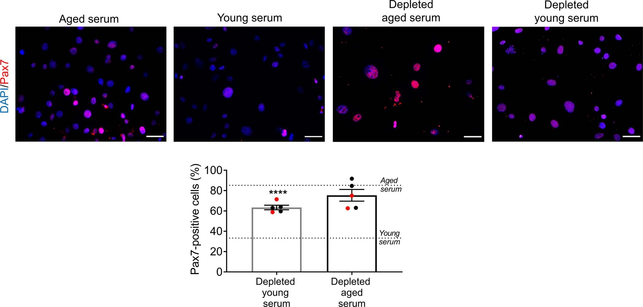 Extended Data Fig. 1