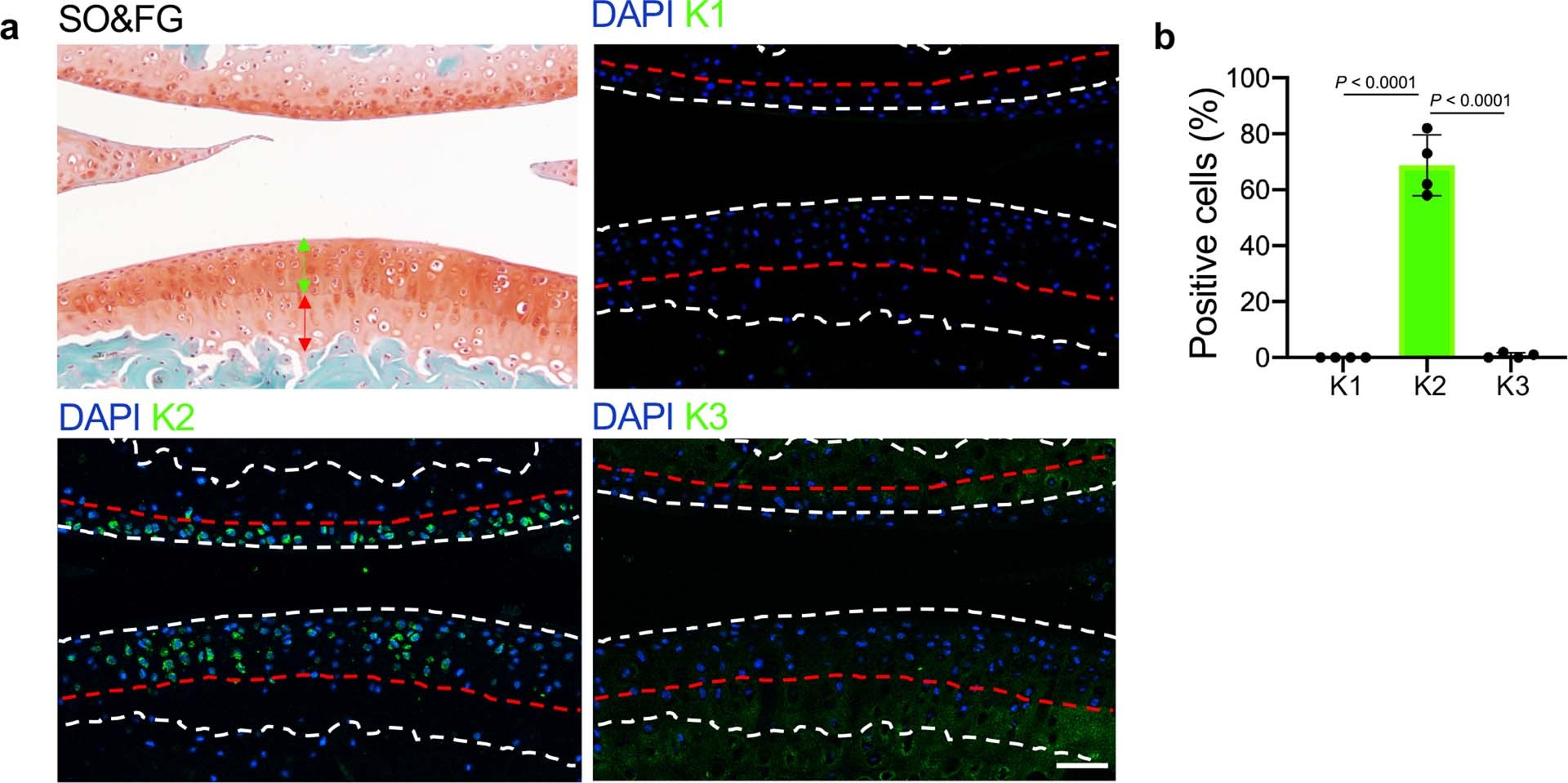 Extended Data Fig. 1