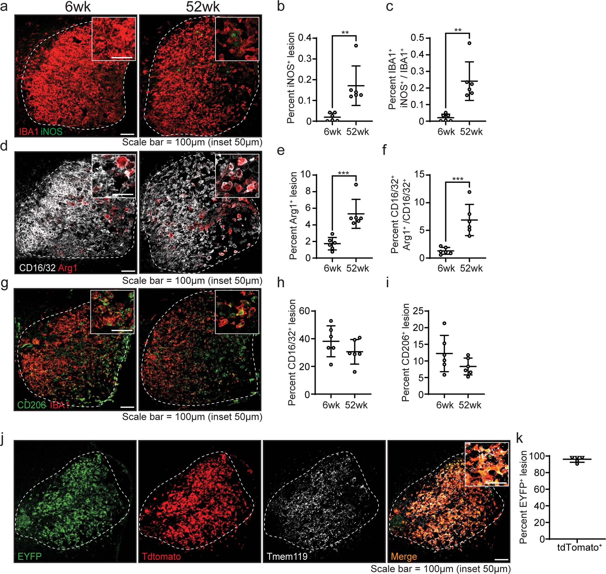 Extended Data Fig. 2