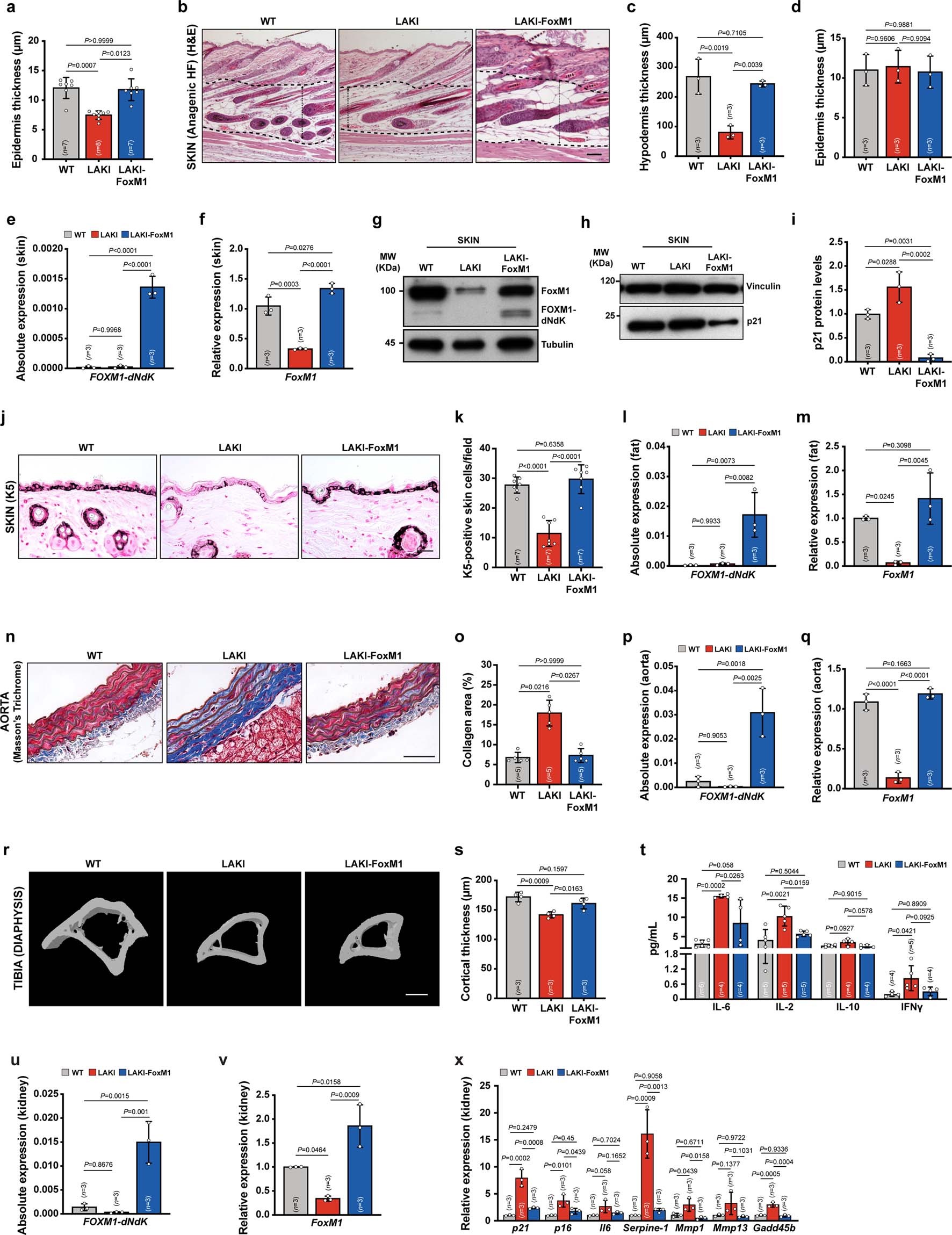 Extended Data Fig. 4