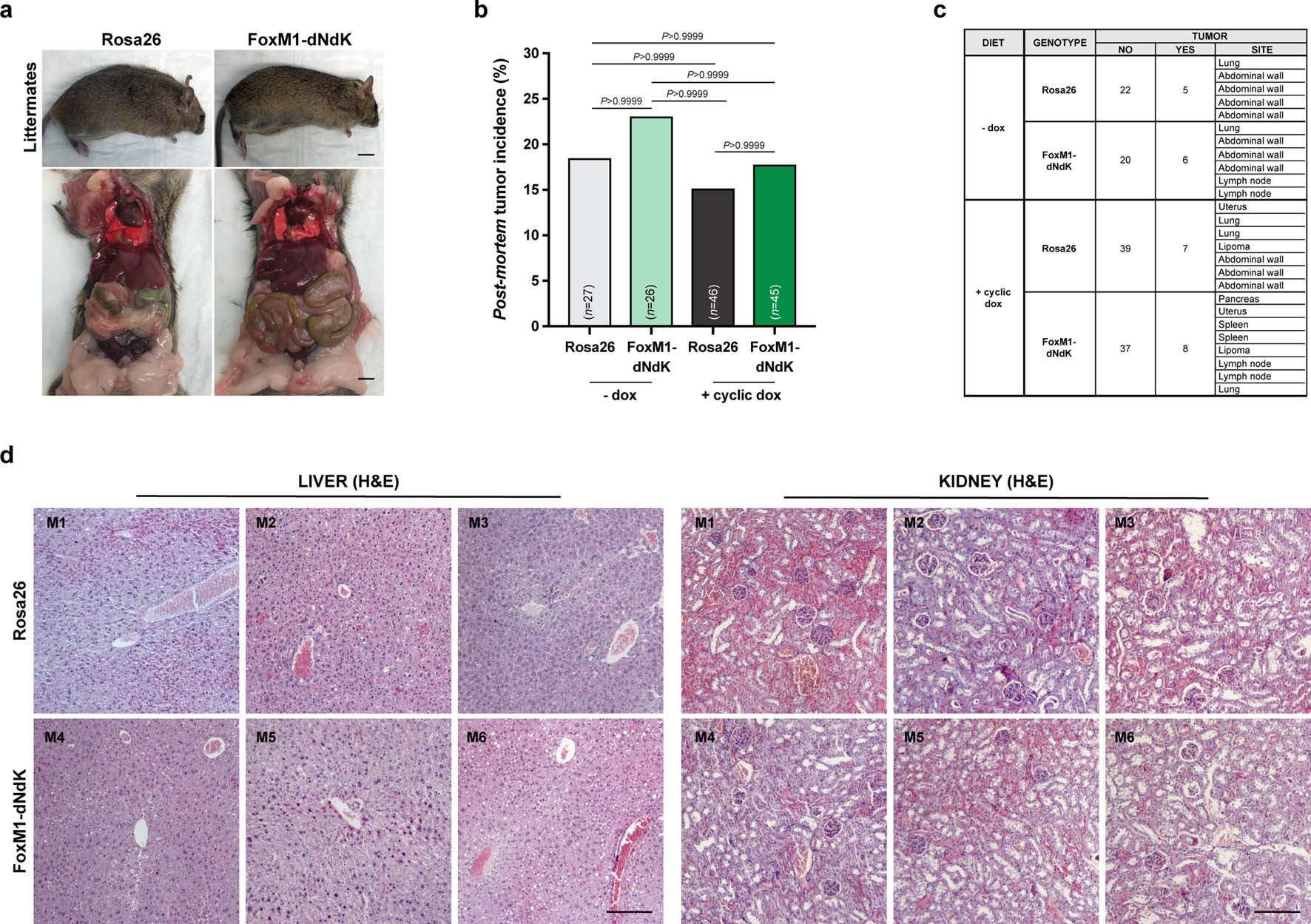 Extended Data Fig. 7