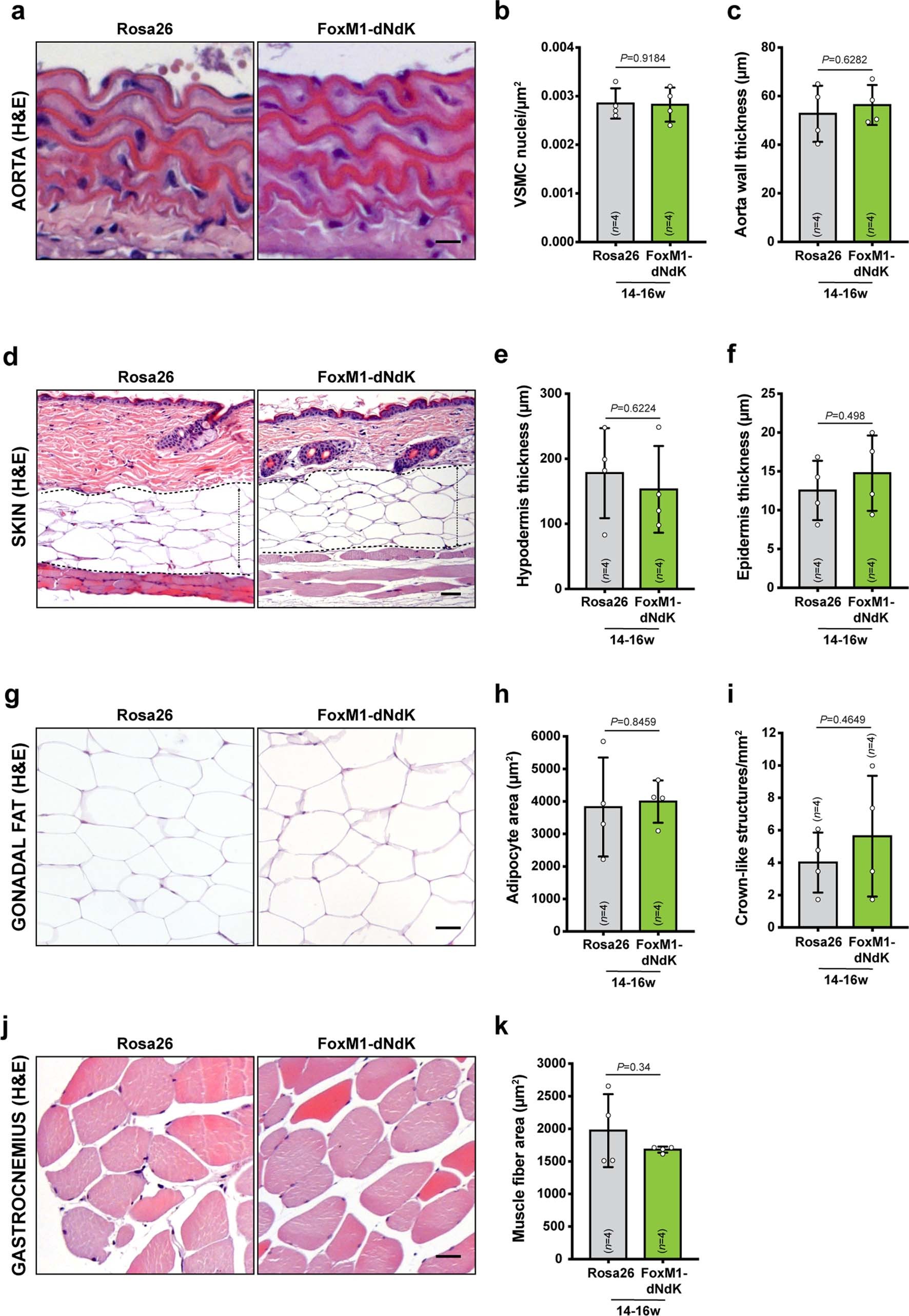 Extended Data Fig. 9