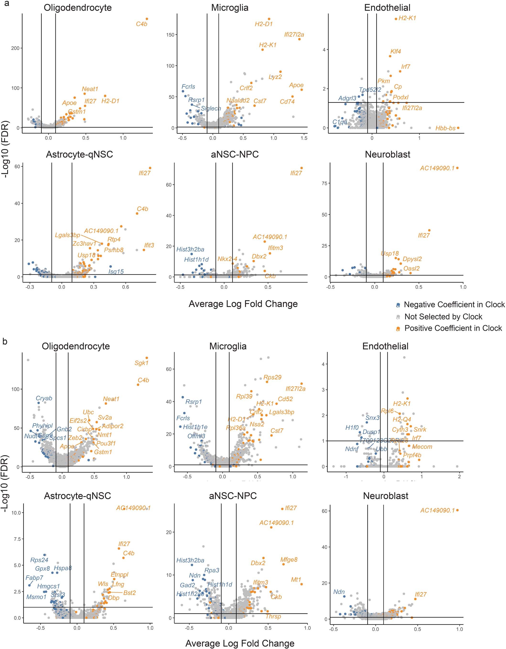 Extended Data Fig. 4: Comparison of genes in cell-type-specific aging clocks and differentially expressed genes with age.