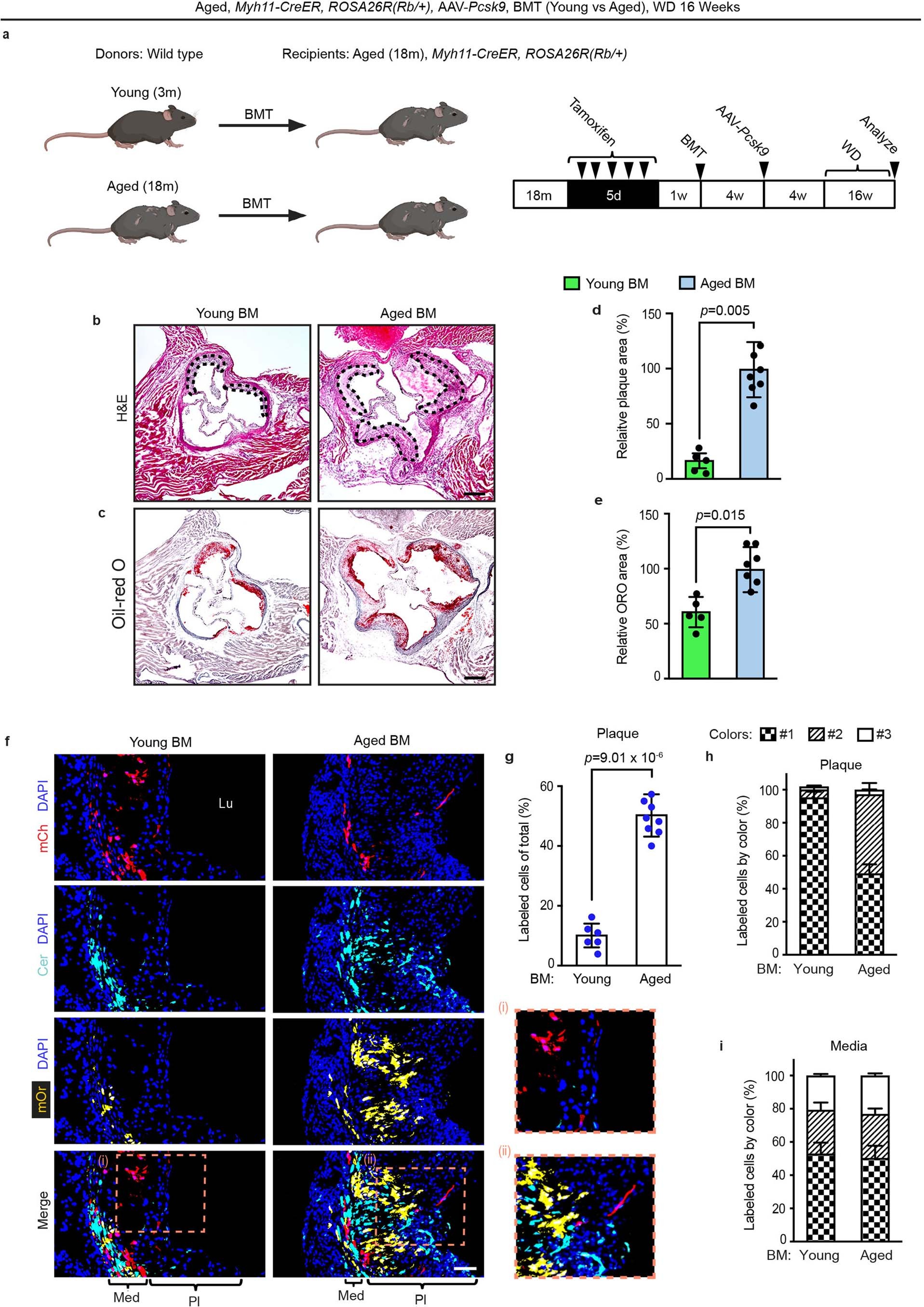 Extended Data Fig. 2