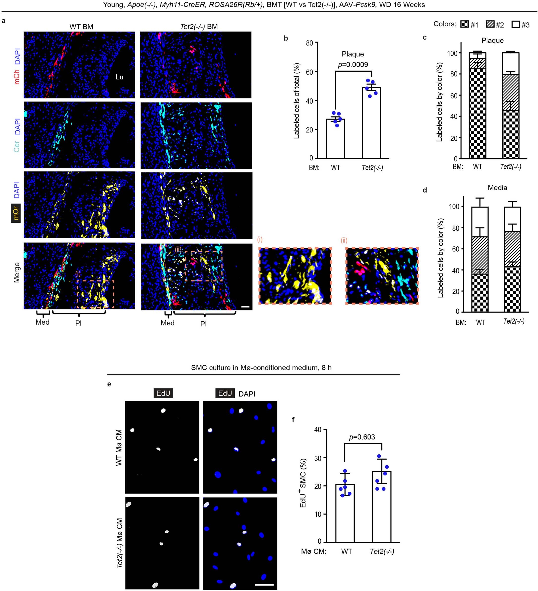 Extended Data Fig. 3