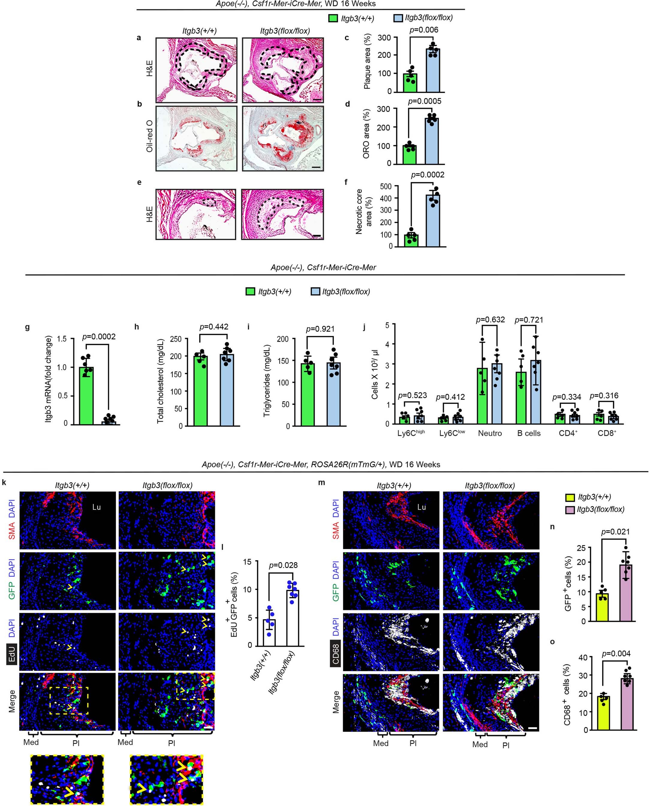Extended Data Fig. 5